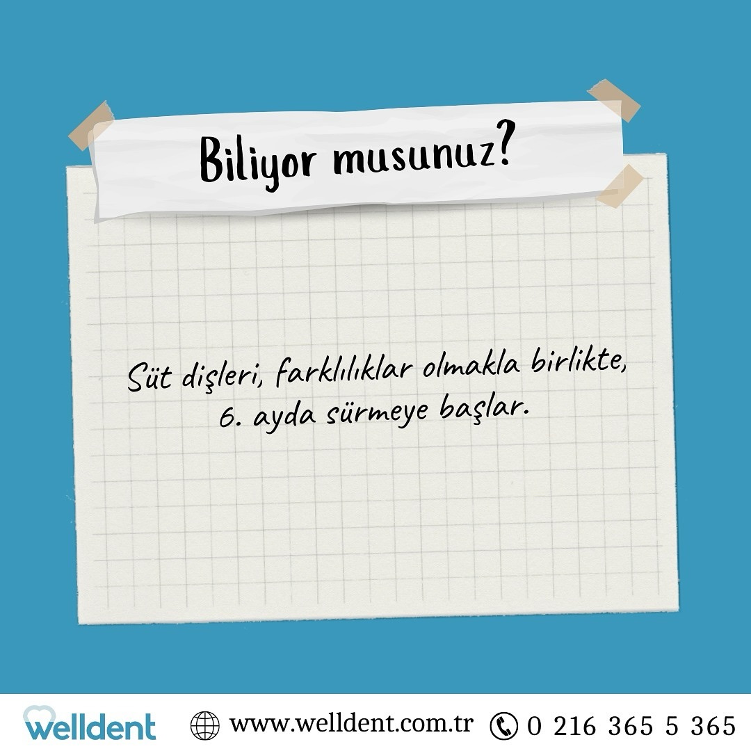 Biliyor musunuz ❓
Süt dişleri, farklılıklar olmakla birlikte, 6. ayda sürmeye başlar. 🦷
#Welldent #SağlıklıGülüşler #SağlıklıYaşam
#GülüşleriniziSaklamayın #DişKliniği #DişHekimliği
#BizdenBirBilgi #SoruCevap #Soralım #BilelimÖğrenelim