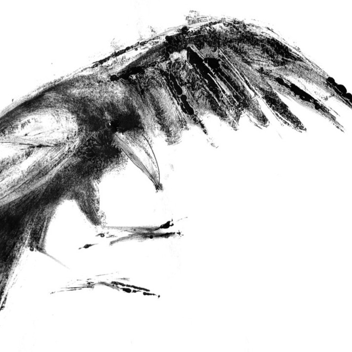 Three Crows. For these light field monotypes, a 4" flat brush, an old scratchy brush, and a color-shaper silicone brush let me push and pull the ink. Multiple transfers from the plate went from heavily inked to a light ghost print. Charcoal and pan pastels to finish.
#crowart #crowdrawing #drawingsmatter #blackandwhite