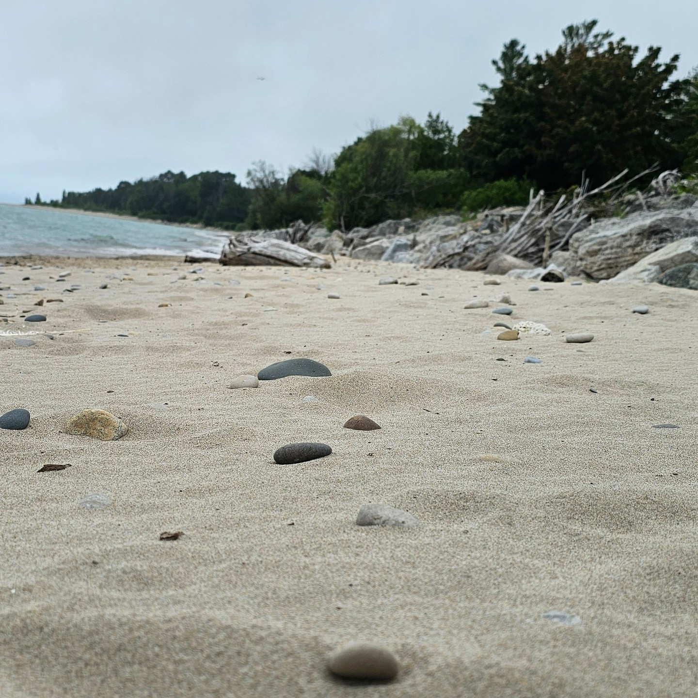🌞 A Perfect Day at Lover’s Beach! 🌞
Imagine this: toes in the sand, the sound of gentle waves crashing, and endless blue skies above. ☀️ Whether you’re lounging under an umbrella, enjoying a picnic, or diving into the cool, refreshing waters — Lover’s Beach in Kincardine is your go-to summer escape. 🏖️💙
Spend your day soaking up the sun, taking in the scenic views, and making unforgettable memories with friends or family. Don't forget to catch the sunset! 🌅
🌿 Pack your beach essentials and experience the perfect day by the water at Lover’s Beach. 🌊✨
#LoversBeach #KincardineAdventures #BeachDayVibes #SummerEscapes #ExploreOntario #SunSandSea