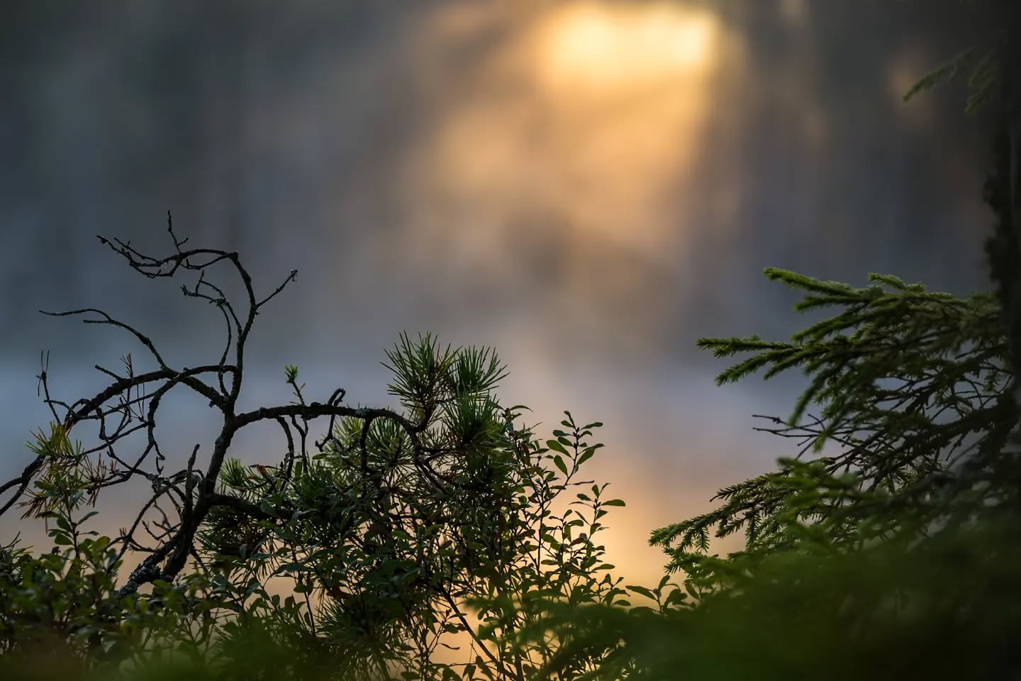 Misty morning.
#innature
#innaturephotos
#mistymorning
#sunreflection
#mistysunrise