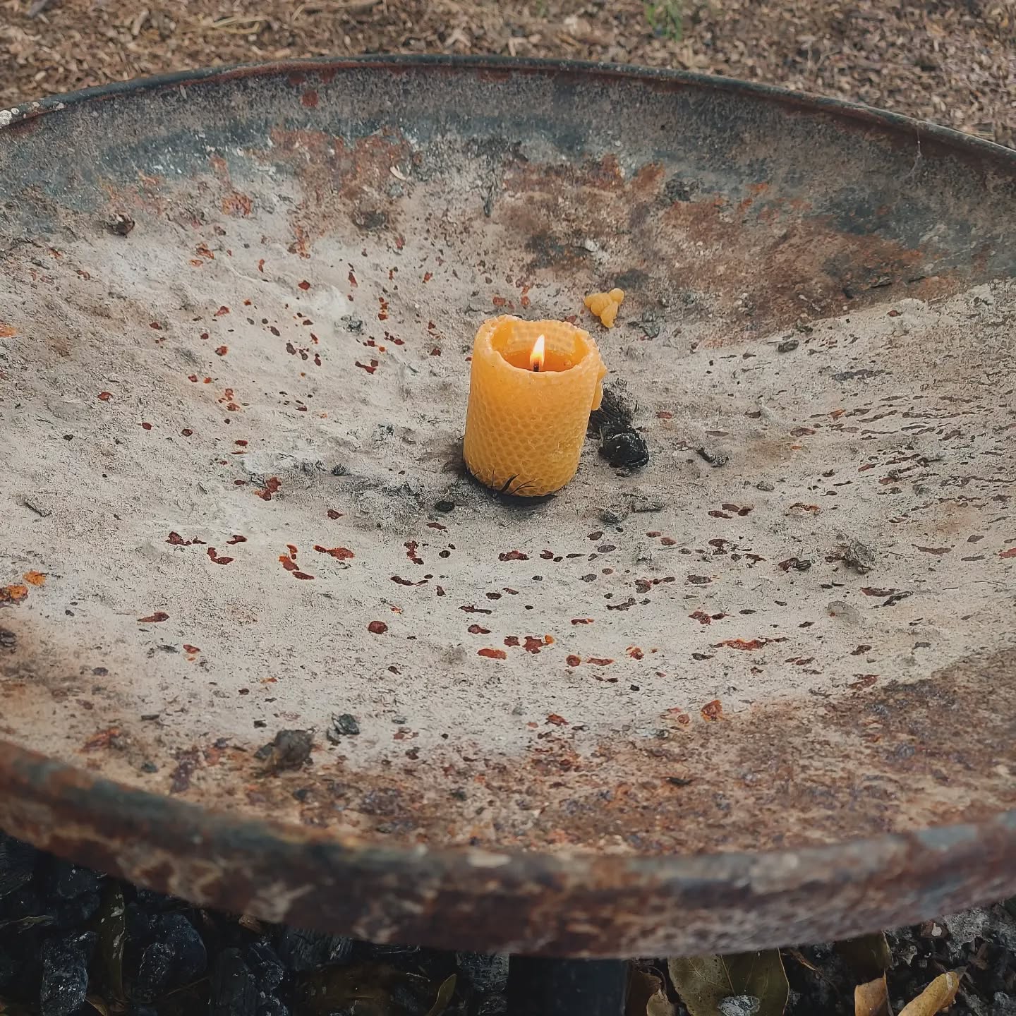 Bringing the #childrensfire to our work party this afternoon. Important work for all.
#sevengenerations #volunteer #lookaftertheland #morethanhuman