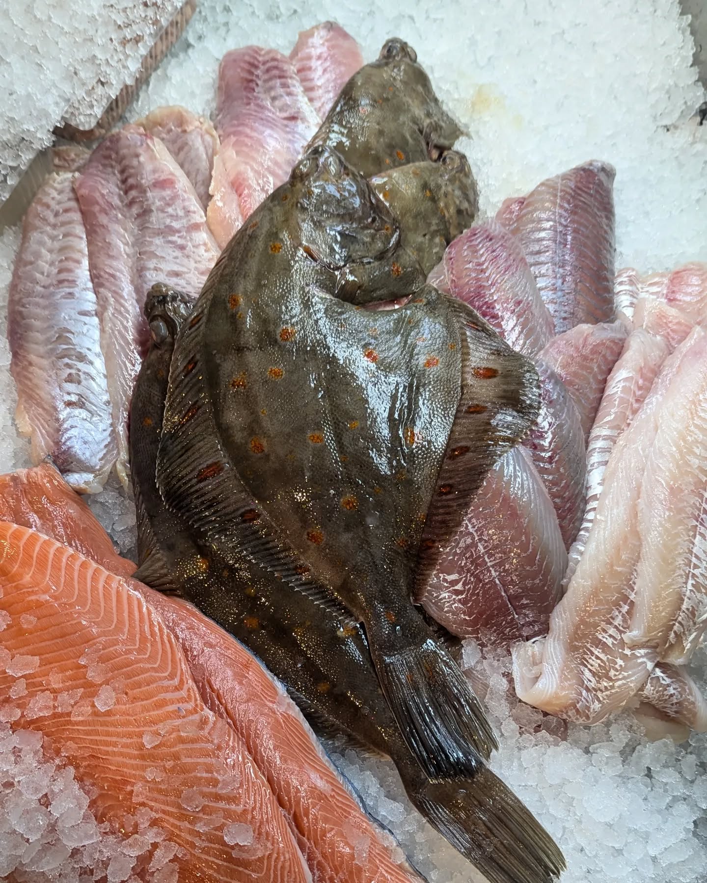 Komme was wolle, hier gibt's die beste Scholle! Unsere Fischer waren erfolgreich 🎣🎏