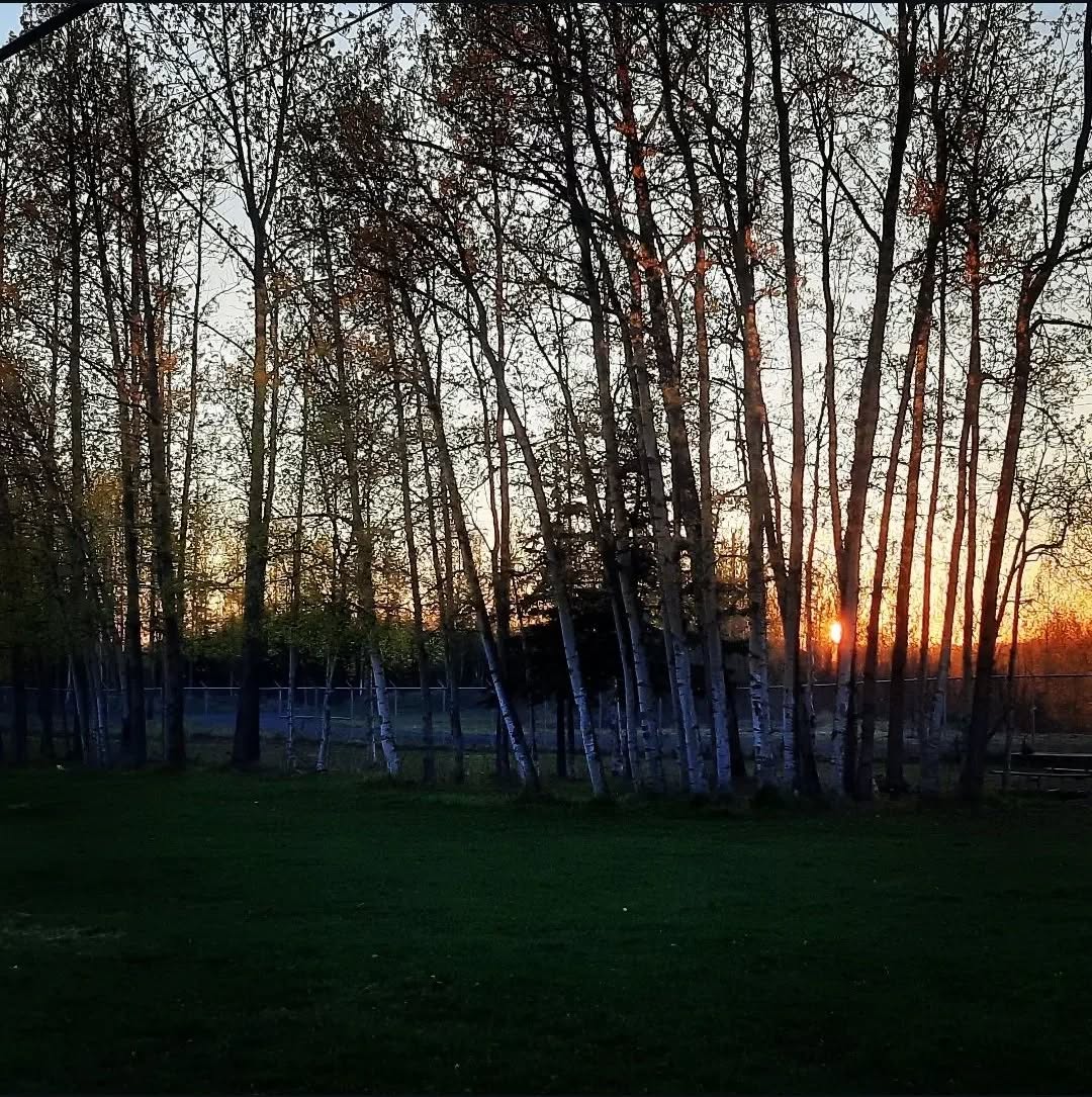 "The deeper that sorrow carves into your being, the more joy you can contain."
Kahlil Gibran