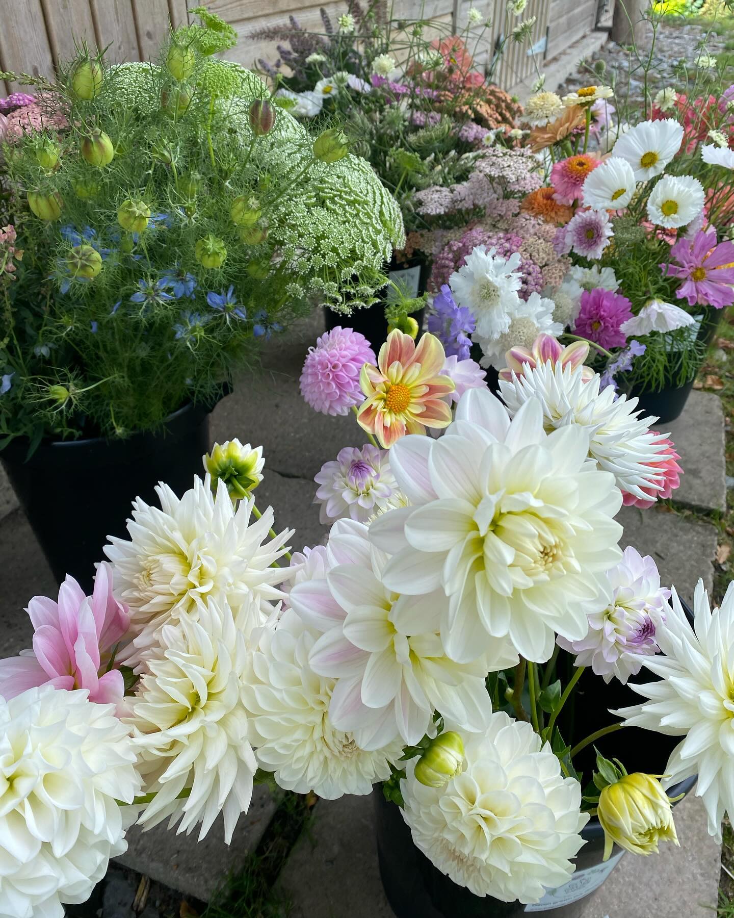 Catching up with posting some of August’s lovely flowers… this was perfectly pastel for @seedandstemflorals 🤍🌸🩵