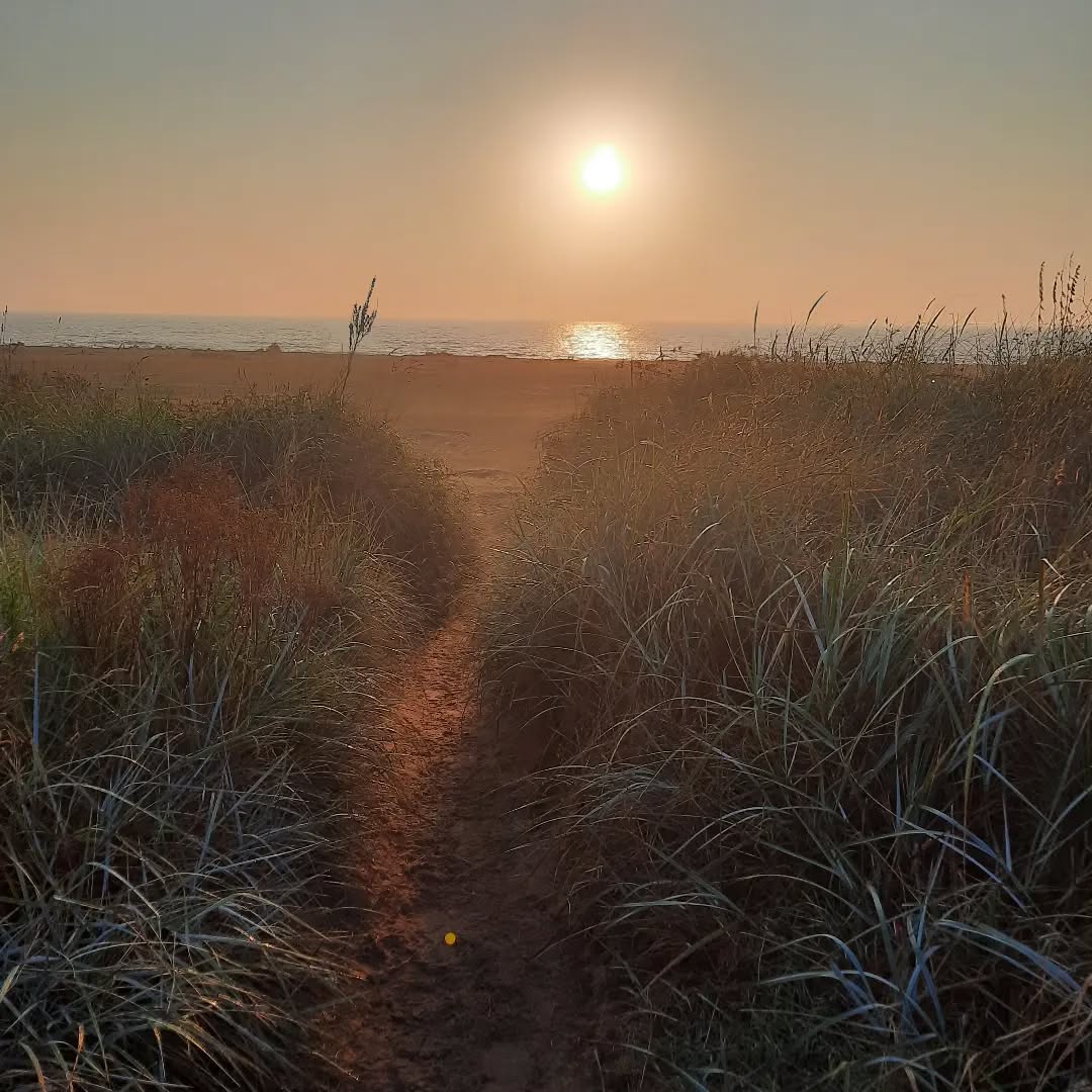 A beautiful Suffolk sunrise