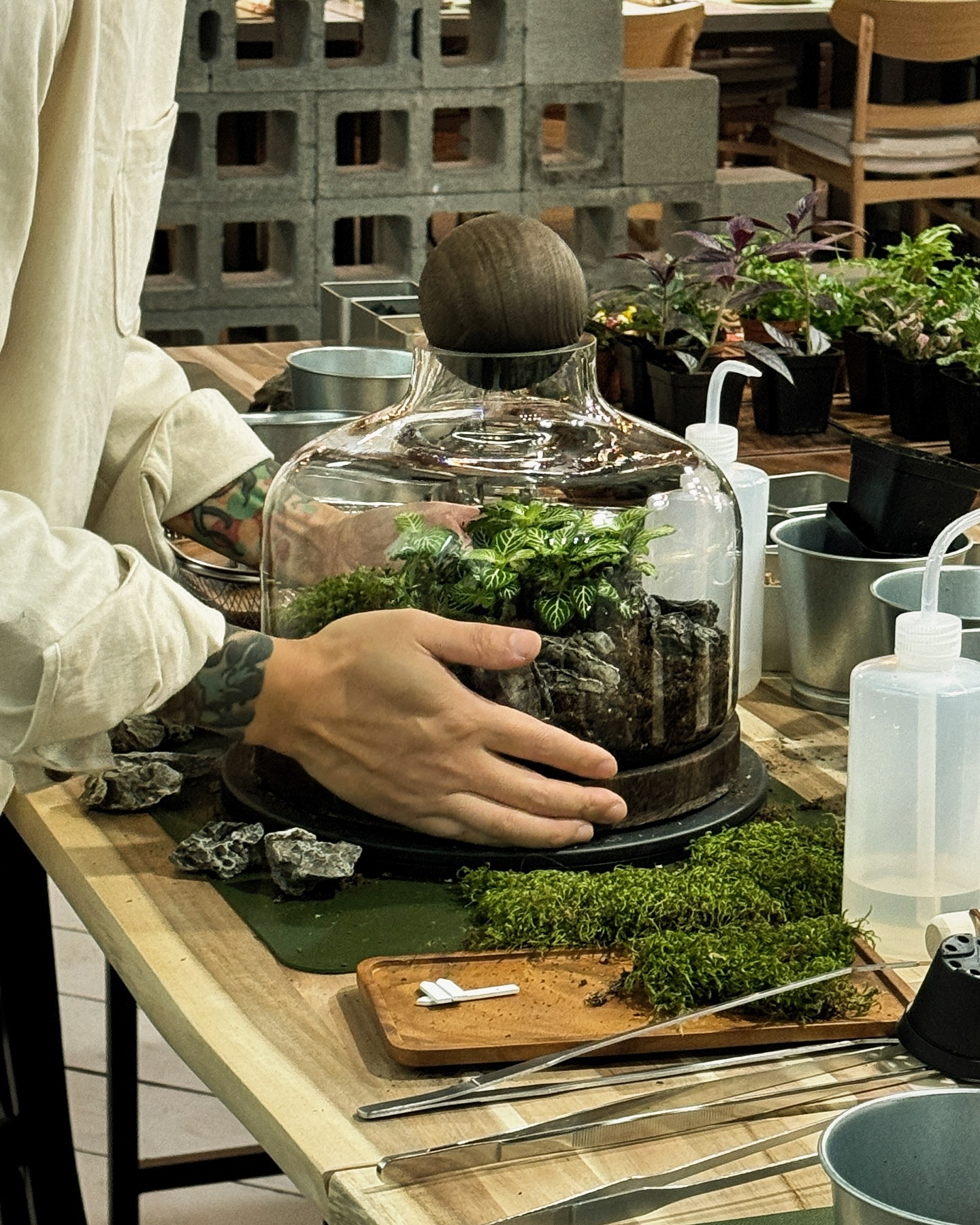 Rainy day vibes, connecting with nature through touch, even indoors. 🌧️🌿
#terrariumdesign #terrariumworkshop #rainyvancouver #datenight