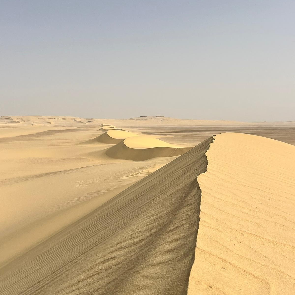 Quand on commence à s’autoriser à partir pour soi, sans culpabiliser ni se juger, c’est qu’on a enclenché un processus de libération, et de douceur envers soi. Qu’on a laissé une grande porte ouverte à recevoir beaucoup en échange.
Bravo et ouvrez les bras!
Retrouvez les voyages en bio
#RDVETS #voyagesinterieurs #voyagesvoyages #voyagespirituel #terresacrée #fayoum #egypte #tresorsdumonde #voyagedansletemps #civilisations #merveillesdumonde #antiquités #pharaon #liberationemotionnelle #loidelattraction #ahimsa #terresinterieures
