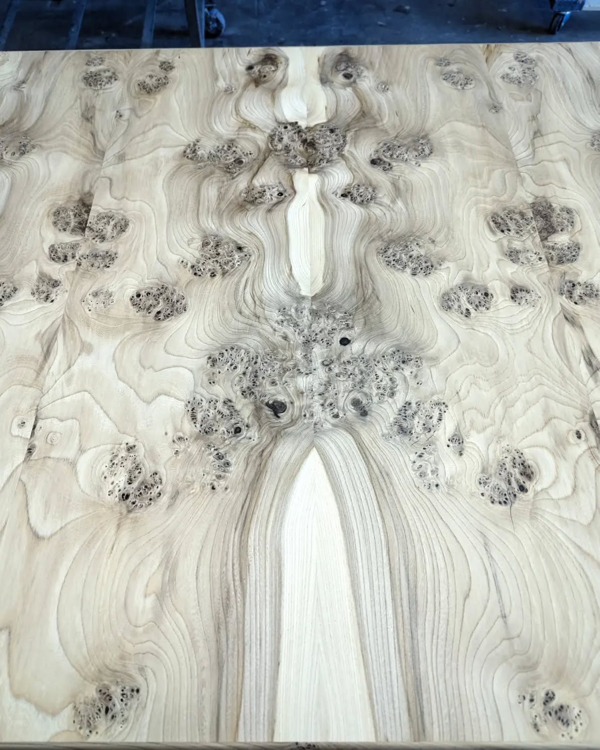 For this gaming table we broke down an American Elm slab, resawed into veneers and put it all back together again. Carry on.
.
.
.
#americanelm #bookmatch
#burl #layout #process #customfurniture #tabletop #urbanlumber