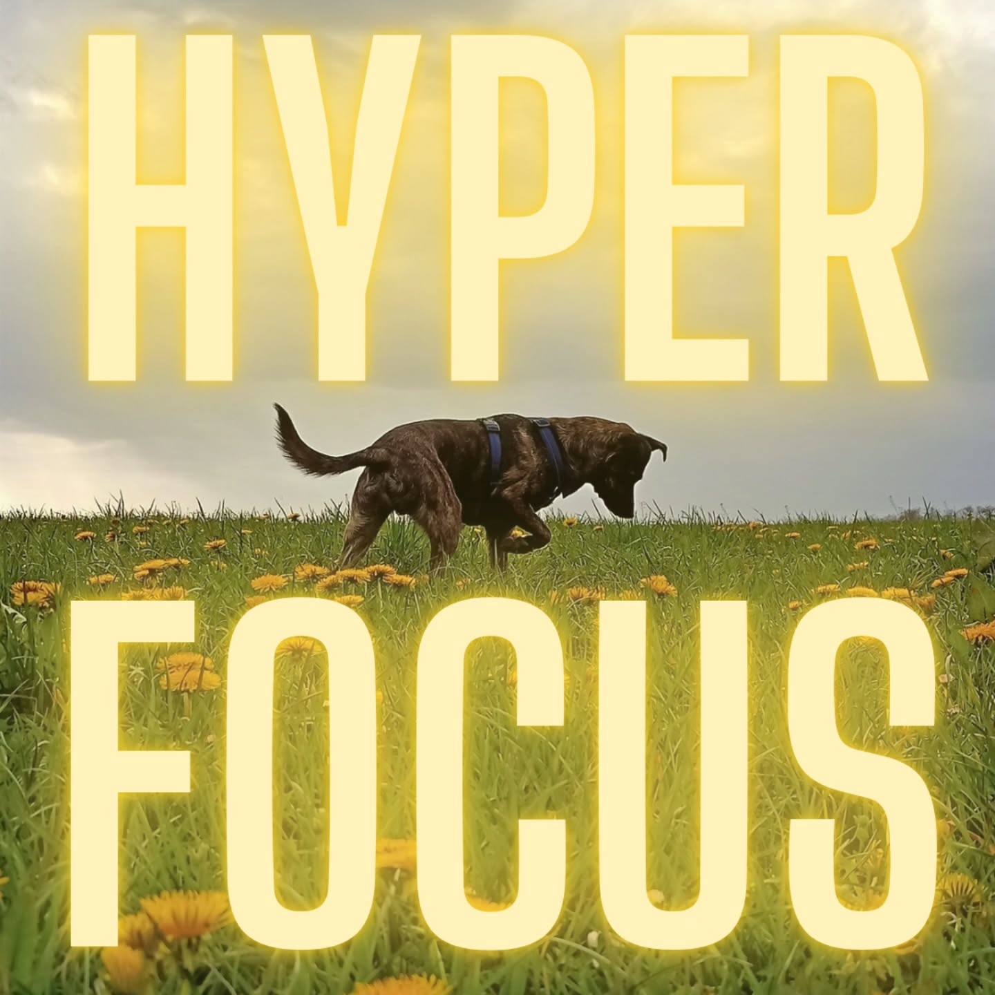 Brains with ADHD and Autism operate on the monotropic processing style. It means, that they do better focusing deeply on a detail rather than naturally processing the bigger picture.
Such a nature of mental functioning can make a person so deeply immersed in what they're doing that anything from outside of the current focus is automatically filtered out and doesn't even reach their perception.
During the hyperfocus other stimuli, and cues go straight to the background noise. We lose track of time and ignore physiological cues. Other tasks and responsibilities lose priority or get forgotten.
🧠
Hyperfocus is both a strength and a challenge. It allows a deep engagement and results in productivity in activities our brains find interesting or stimulating. On the other hand, it can make it difficult to switch tasks, maintain a balanced routine, or stay on top of other obligations. I can also get associated with the impression of productivity and indirectly cause a tendency to procrastinate. The belief that since so many times an all-night hyperfocus saved my ass, I don't need to start this task now. I will hyperfocus on it when it becomes urgent.
Nevertheless, maintaining balance and staying regulated as a neurodivergent person is already hard. If your hyperfocus makes you neglect other responsibilities and detaches your perception from monitoring your needs it's a perfect way to disregulation.
🧠
Don't get me wrong. I love it. Surfing on this feeling is amazing. The results of it are often amazing too. But here's a healthy piece of wisdom from me: hyperfocus is a superpower. When it happens, it feels great. By all means, use it for fun and pleasure, but don't rely on it as a strategy. Hyperfocus can't be summoned. It happens naturally, and when it does, enjoy it. But also, do the work on building the right routines, systems, and strategies for yourself. Don't rely on hyperfocus. Because it comes with a price, and you don't owe paying it to your job, studies, or anyone and anything else.
Cherish your superpower. Protect your balance.
#hyperfocus #neurodivergentpsychologist🇨🇭 #neurodivergentstruggles #adhdfocustips #monotropizm #boundaries #balance #inneradult
