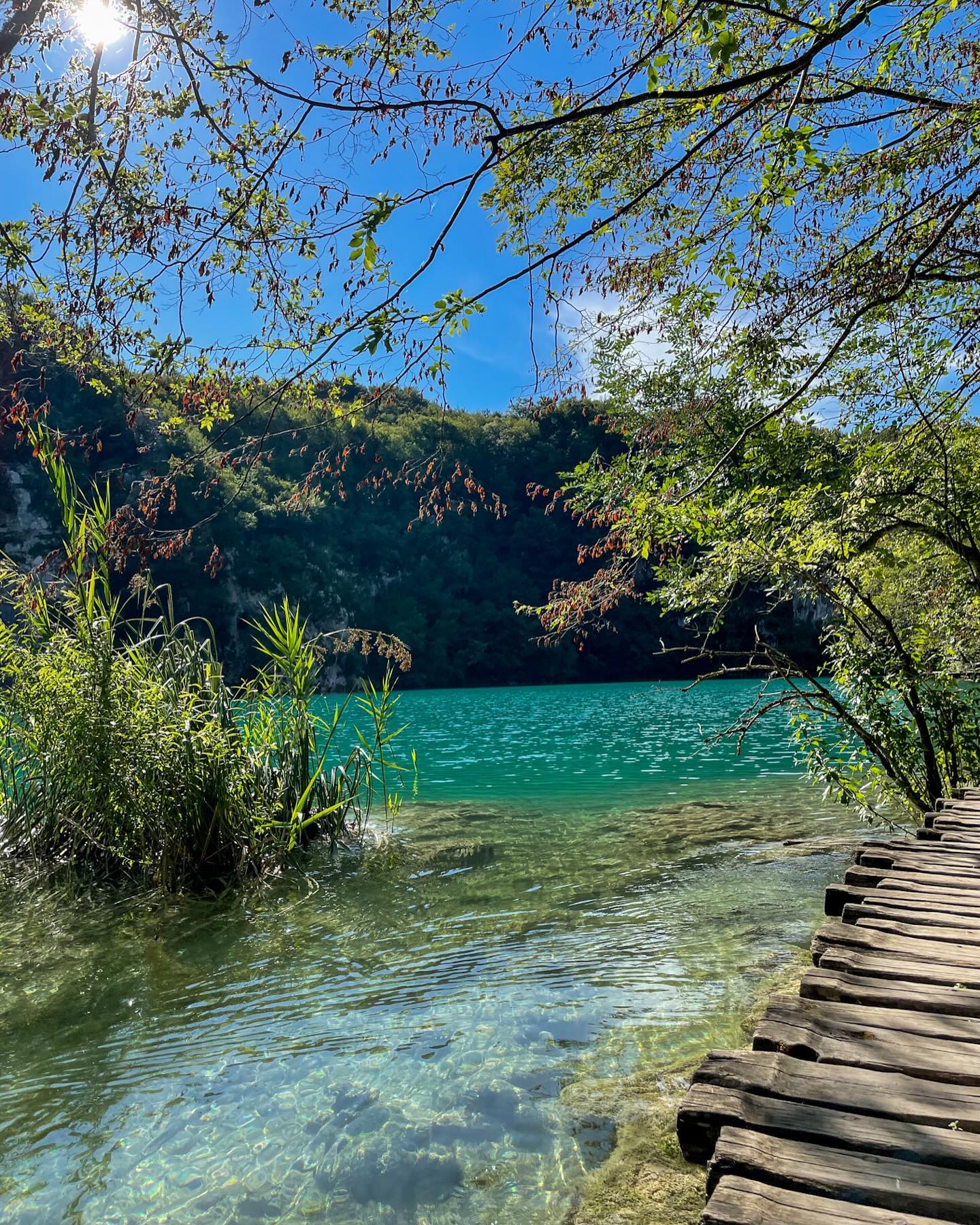 📸 Stanco delle solite foto dei Laghi di Plitvice? Vieni con me alla scoperta dei luoghi segreti di questo incredibile parco nazionale.
🌊 Veliki Slap. Un classico, certo. Ma se arrivi all’alba o al tramonto, potrete evitare la folla e scattare foto mozzafiato
🛶 Grotta Šupljara. Si può raggiungere solo grazie ad un’escursione in barca, questa grotta nascosta offre acque cristalline e una natura selvaggia che ti lascerà senza fiato.
🌲 Sentiero panoramico. Abbandona i percorsi più battuti e scopri panorami mozzafiato immersi nella tranquillità più assoluta.
💦 Cascata Galovacki Buk. Meno famosa della Grande Cascata, ma altrettanto spettacolare. Un angolo tutto da esplorare.
🚣♀️ Lago Kozjak. Vuoi un’esperienza davvero unica? Noleggia una canoa e scopri il lago dal un altro punto di vista, lontano dalla folla.
🌄 Belvedere Tomićevo. Un punto panoramico perfetto per foto da urlo.
🌍 Hai mai scoperto un angolo nascosto durante i tuoi viaggi che ti ha lasciato senza parole? Condividilo nei commenti 👇🏻
📌Se stai pianificando il prossimo viaggio in Croazia, salva questo post per avere sempre a portata di mano questi consigli!
Laghi di Plitvice | Croazia | escursioni | escursioni
#plitvice #plitvicelakes #plitvickajezera #croatia
#croatia🇭🇷 #croatia_photography #croatie #plitvicelakesnationalpark #travelphotography #viaggi #laghidiplitvice