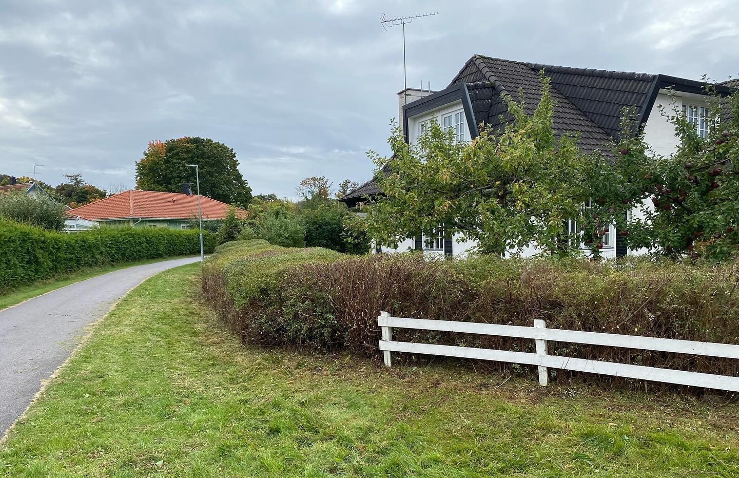 Förvandla din trädgård idag! ✨🌳
✅ Använd ditt rutbidrag vid betalaning
🔸Trädgårdsröjning
🔸Häckklippning
🔸Beskärning
🔸Ogräsrensning
🔸Gräsklippning