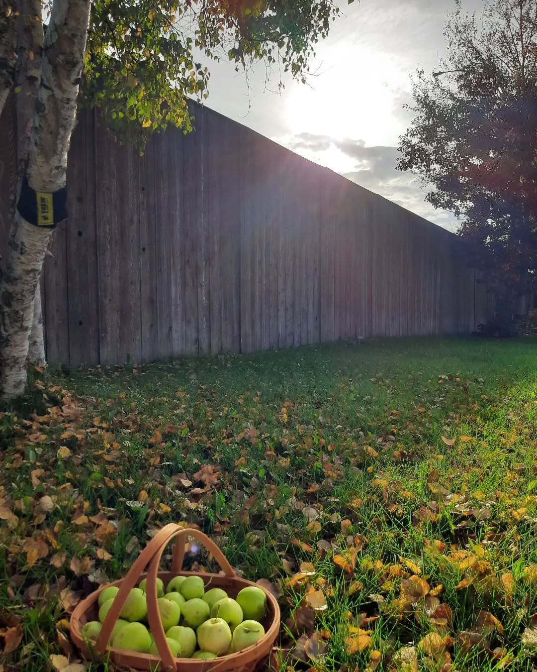 "One must be wise in knowing what to prepare for and equally wise in being prepared for the unknowable."
- from the book "Always Getting Ready"