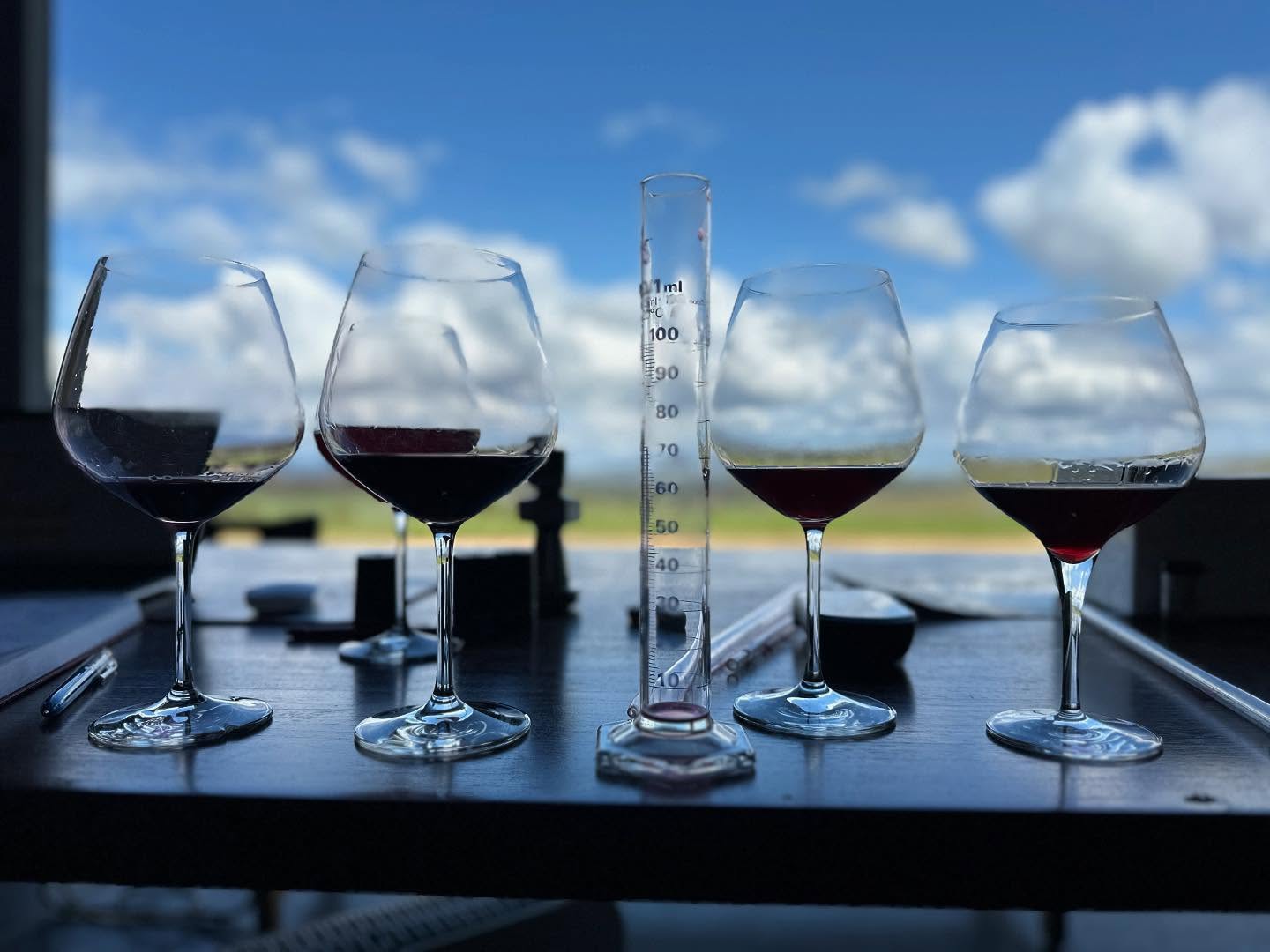 Making magic at Denton. New owners. New wines.