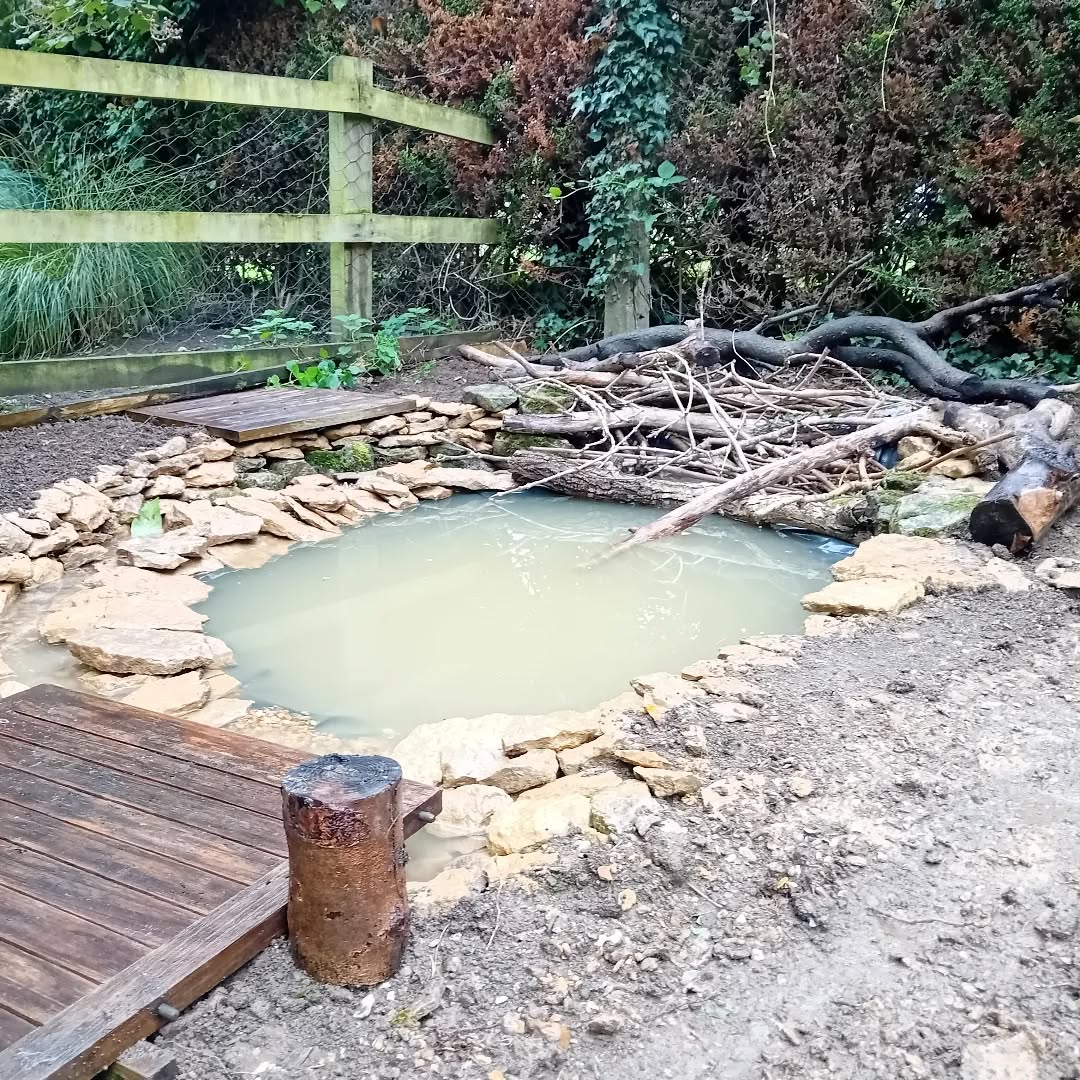 This wildlife pond I've been helping a customer with really started to come together yesterday. Planting to follow in the spring.