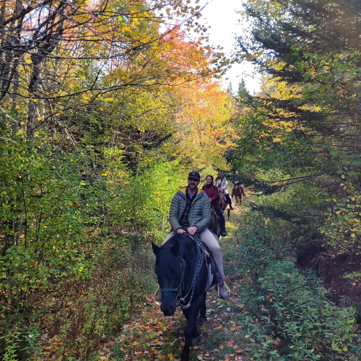 Fall photo dump of our various rides. #horsebackriding #horsebackridingonthebeach #bayoffundytides #cliffsoffundygeopark
#cobequidmountains
#fallcolors๐๐