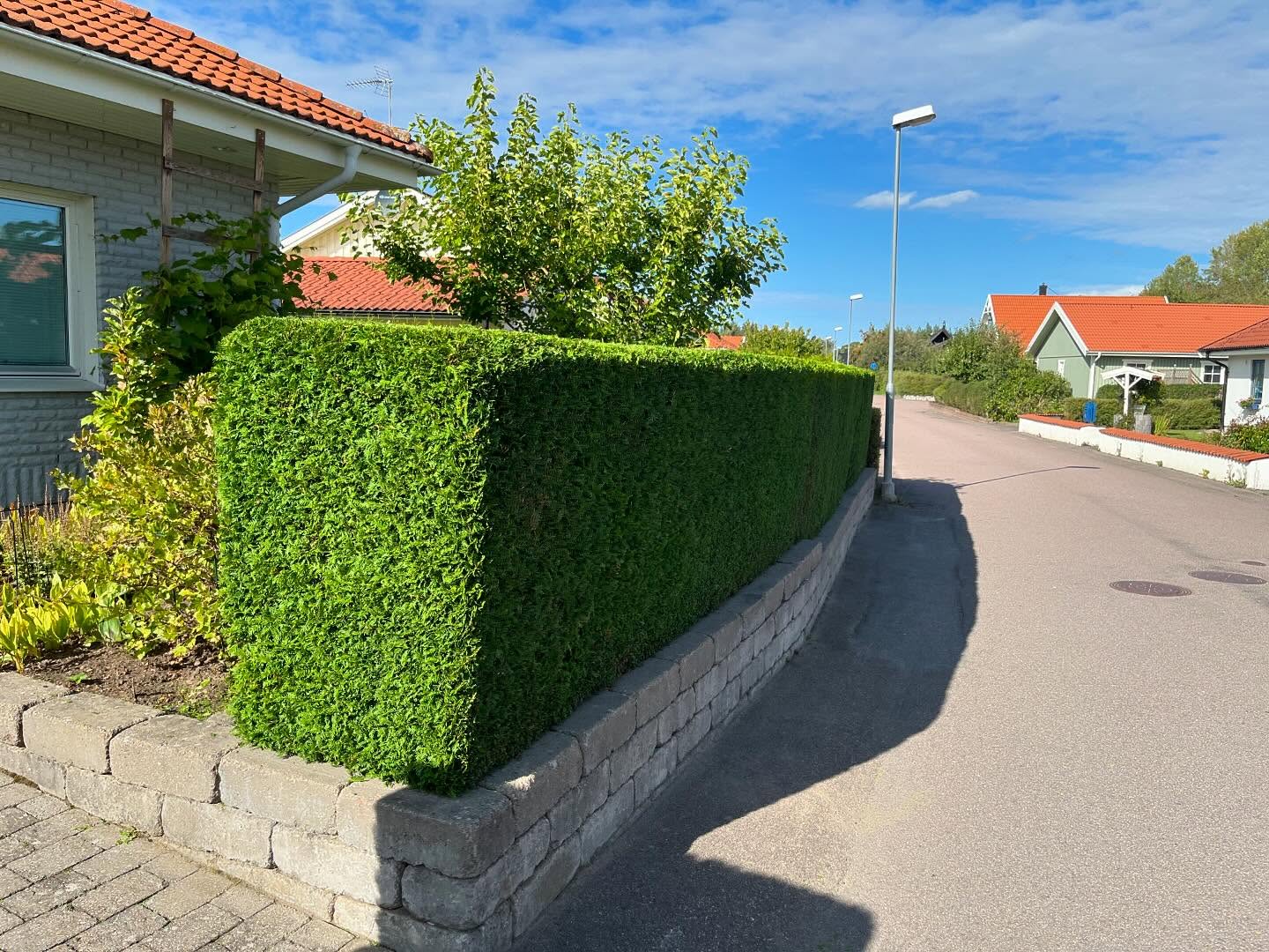 Förbered din trädgård inför vintern 🍁🍂
✅ Använd ditt rutbidrag vid betalaning
🔸Häckklippning
🔸Trädbeskärning
🔸Ogräsrensning
🔸Gräsklippning
🔸Lövrensning