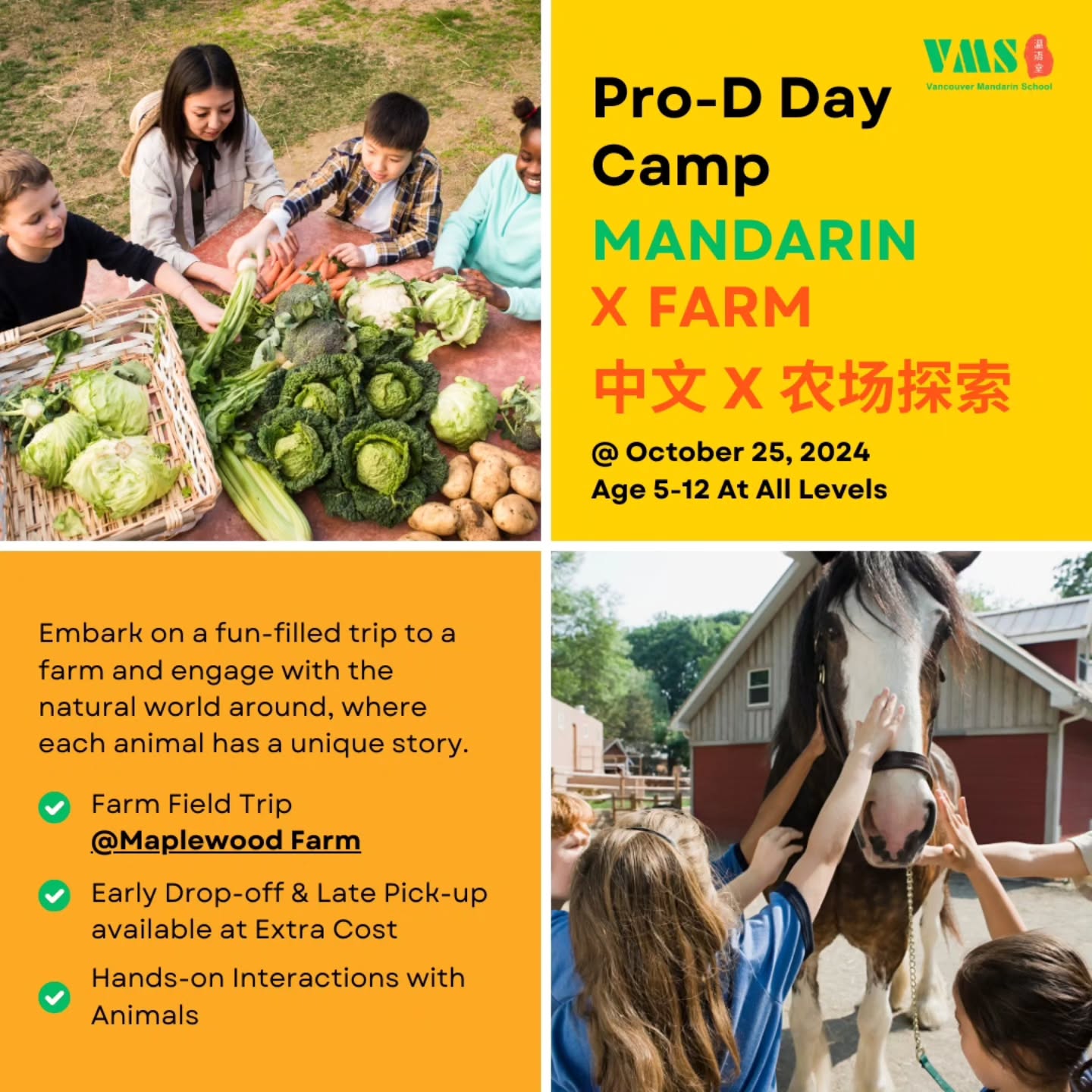 🐴 Pro-D Day Camp: Farm Adventures! 🌾🐓
Get ready for an exciting Pro-D Day at Maplewood Farm on October 25! Kids will engage with the natural world and experience hands-on interactions with animals, all while practicing Mandarin! 🌻🐄
🗓 Date: October 25, 2024
🕒 Time: 9:00 AM - 3:00 PM
📍 Location: Peretz Centre, 6184 Ash Street, Vancouver
Highlights:
🌟 Field Trip to Maplewood Farm
🌟 Hands-on interactions with farm animals
🌟 Learn Mandarin while exploring the farm
🚪 Early Drop-off & Late Pick-up available!
👉 For more details and registration, visit the link in our bio.
✨ Looking for more Pro-D Day options? Check out our November camp!
#mandarin #chinese #pinyin#HSK#chinesegrammar#chinesewords#chineselesson#mandarinlesson#learningmandarin#learningchineseonline#learnmandarinonline#chineselanguage#study#chineseclass#mandarinclass #speakchinese#studychinese #chineseschool#mandarinschool#chineselearning #mandarinschool #学习中文#汉字#中文#mandarinvancouver