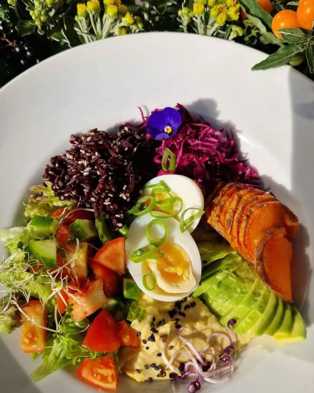 Tento týden v nabídce Buddha bowl 😊