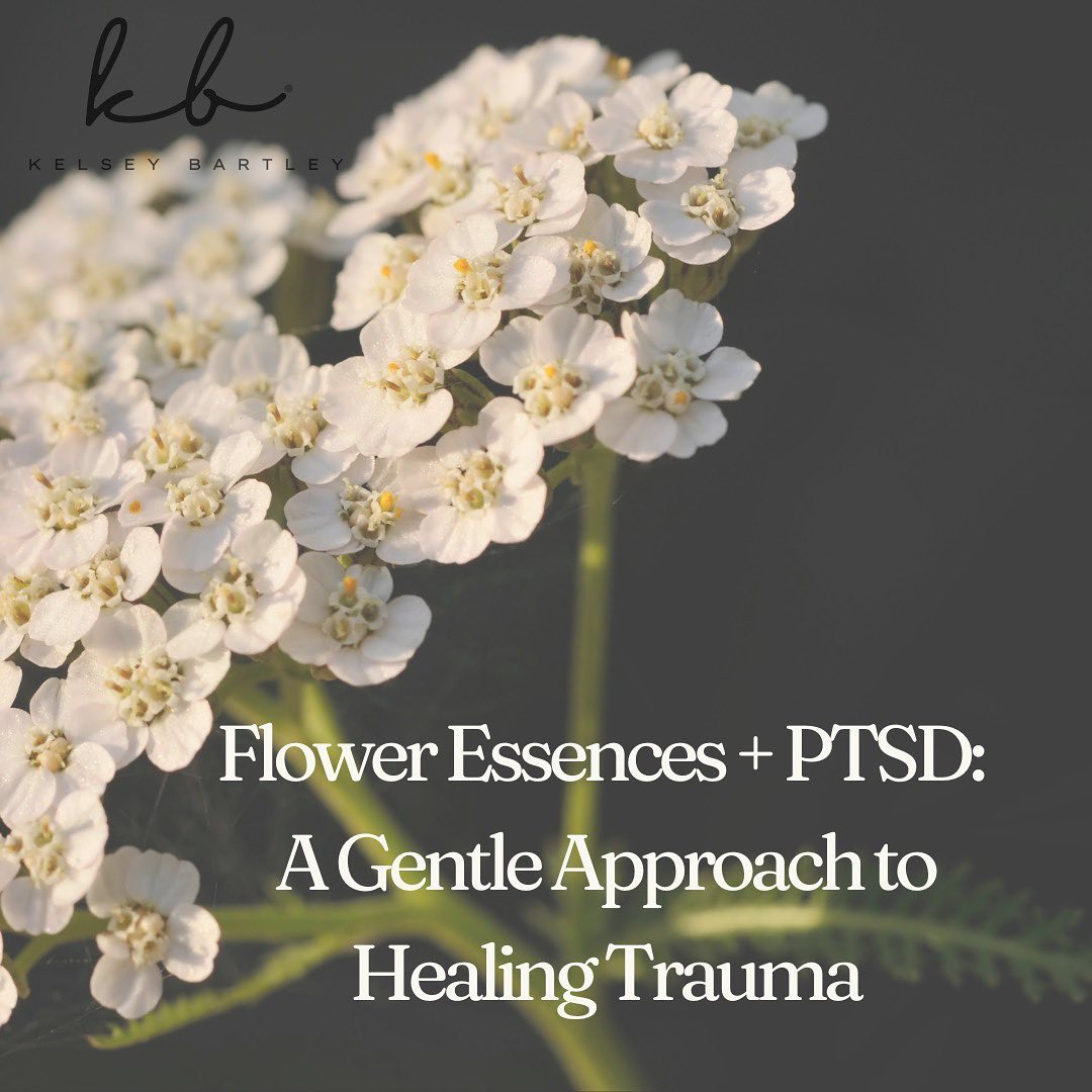 Healing from trauma requires compassion, and flower essences offer gentle, natural support for emotional recovery.
From soothing deep emotional wounds to calming anxiety and fear, these remedies can be a powerful tool for those navigating PTSD.
Discover how flower essences like Star of Bethlehem and Yarrow can help restore emotional balance and resilience.
#FlowerEssences #PTSDHealing #NaturalRemedies #EmotionalWellness #HolisticHealing #TraumaRecovery #MindBodyHealing