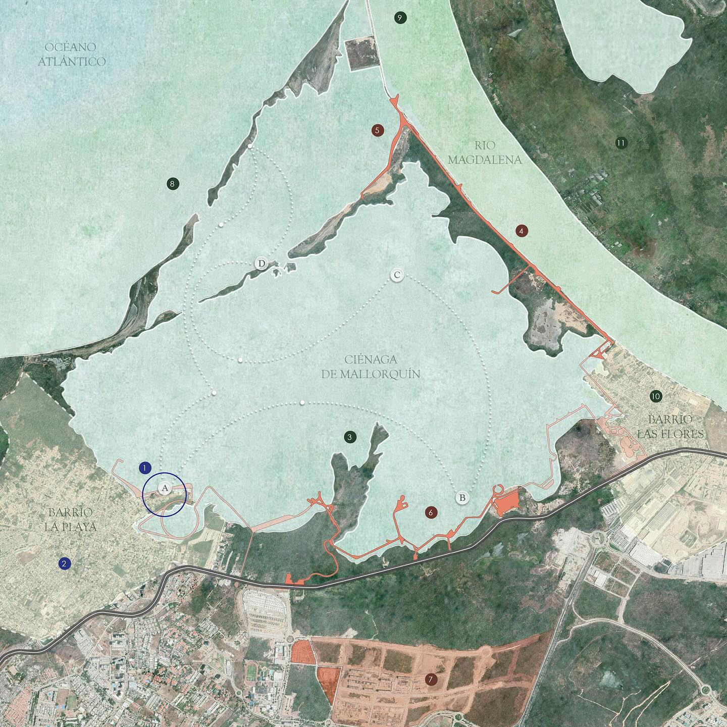 CUNA: Escuela porosa de construcción de paisaje
En Barranquilla, la Ciénaga de Mallorquín ha tomado protagonismo con la inauguración del ‘Ecoparque Ciénaga de Mallorquín’ y proyectos como la ‘Recuperación de la Playa Puerto Mocho’ y la renovación del ‘Tren Turístico de Bocas de Ceniza’. Los residentes del Corregimiento La Playa anticipan los significativos cambios que la Ciénaga de Mallorquín experimentará con la llegada de proyectos masivos y nuevos turistas. La comunidad de pescadores (Asoplaya), enfrentando escasez de recursos, encuentra iniciativa en el apoyo del turismo local y la siembra comercial de mangle, como alternativas económicas sostenibles.
CUNA busca apoyar estas iniciativas desde la creación de espacio público colectivo, el aprendizaje ambiental y la interacción directa con el paisaje.
CUNA es un proyecto núcleo de LA ESCUELA___ (@laescuela.art ), diseñado por La Orilla - Taller de Arquitectura y Arte, OAU - Oficina de Arquitectura y Urbanismo, en colaboración con ASOPLAYA (Asociación de pescadores del corregimiento ‘La Playa’) y Cayena (Dirección de Arte y Cultura de la Universidad del Norte).