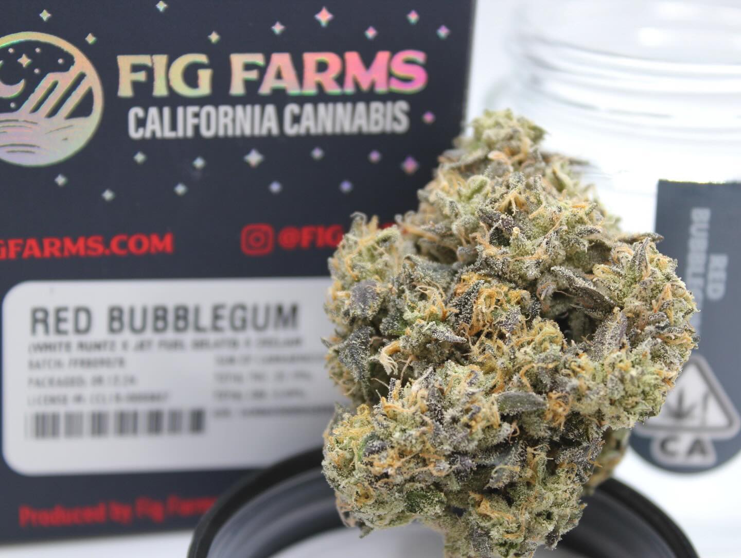 Red Bubblegum by @fig.farms 😍
🫧A cross of White Runtz x Jet Fuel Jelato & Zeclair
🫧The Zeclair is a Fig Farms retired and well sought out strain bred by @umamiseed & @watson.supply …it’s a cross of Cold Heat x Zonuts. Its presence in the Red bubble gum provides a very unique experience that is both highly relaxing and sedative.
🫧When you combine the Zeclair with the White Runtz x JFJ it results in a warm euphoric mental upliftment along with heavy relaxation and relief. This strain feels like a warm blanket and is the perfect way to end a long day with a movie this Fall 🍂🧡
-Smells like: sweet citrus creamy pine
-Looks like: beautiful trichomes & pistols/shades of bright green and dark purple/super sticky
-Tastes like: herbal mint
-Feels like: extremely relaxing and therapeutic/sedative/pain relief/happy thoughts/creative flow/immediate full body experience.
-Package date: 9/12/24
-Potency: Total Cannabinoids: 36.82% THC: 32.19% CBD: 0.04%
#figfarms #themarijuanamedium