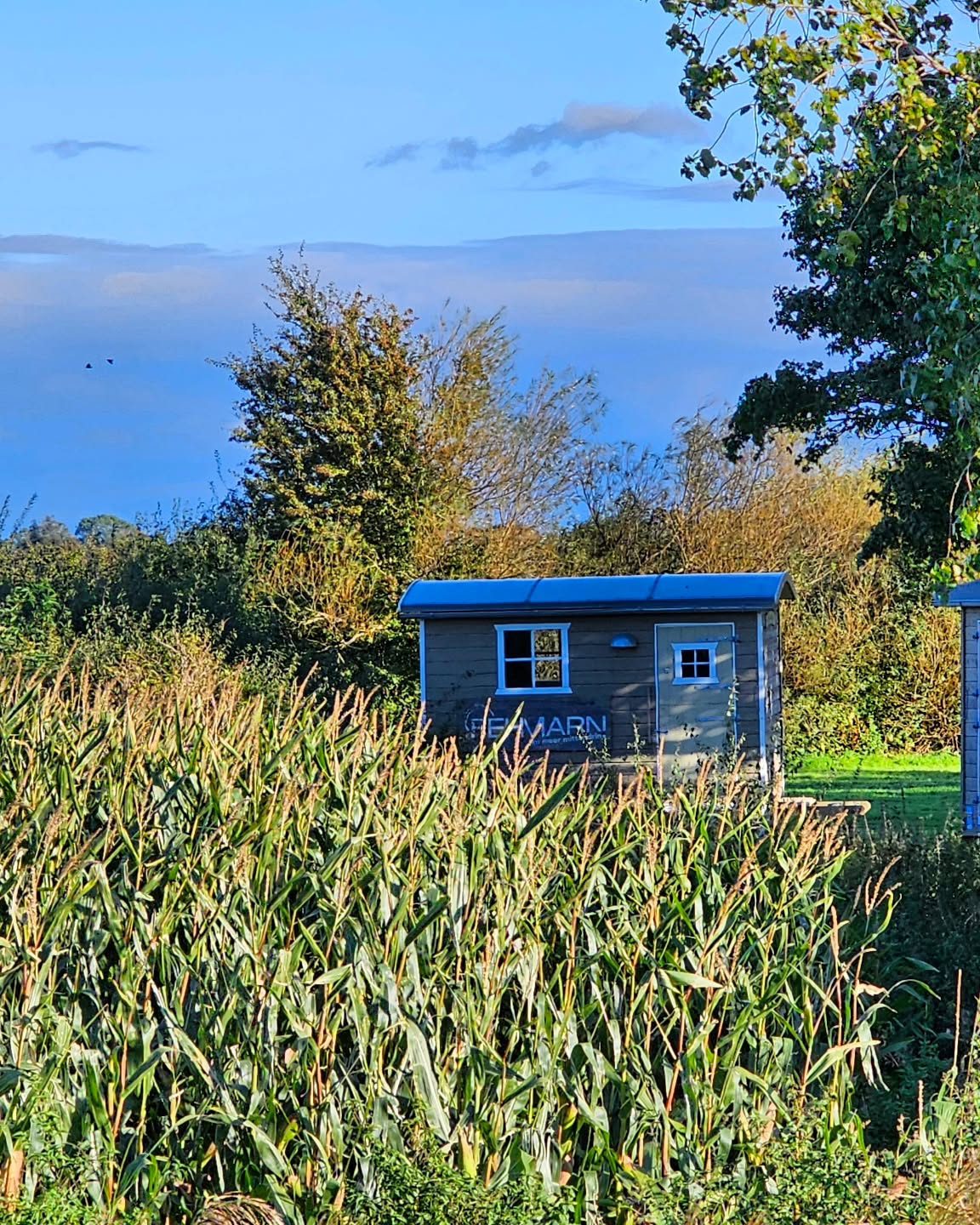 Am Wochenende lockt nicht nur der Sonnenschein auf Fehmarn, sondern auch das Lichterfest.
At the weekend, not only the sunshine on Fehmarn attracts visitors, but also the Festival of Lights.
#hausimfelde
#Albertsdorf
#Fehmarn
#ferienwohnungen
#ferienappartements
#sonneninselfehmsrn
#ostseeferien
#Radfahren
#kite
#wing
#foil
#windsurfing
#schleswigholstein
#holidayappartement
#islandinthesun
#Lichterfest
#lichtermeerostsee
#Lichtfestfehmarn
#festivaloflights