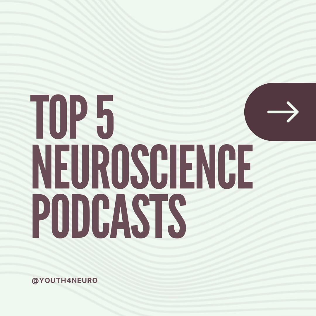 If your into listening to podcasts, listen to the top 5 neuroscience podcasts above! Stay ahead with expert knowledge and the latest discoveries
#youth4neuro #y4n #neuroscience