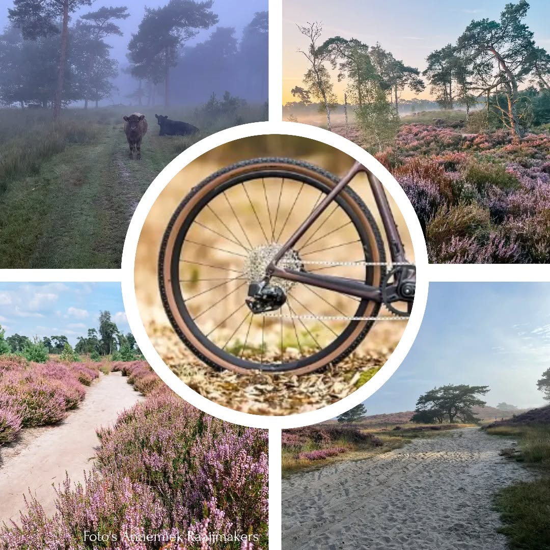 Cycling Events Kalmthout
Ontdek kalmthout op MTB, gravelbike, cyclocross- of racefiets!
Check: www.cyclingeventskalmthout.be
Of contacteer:
jorisdeckers@outlook.com
0476/340532