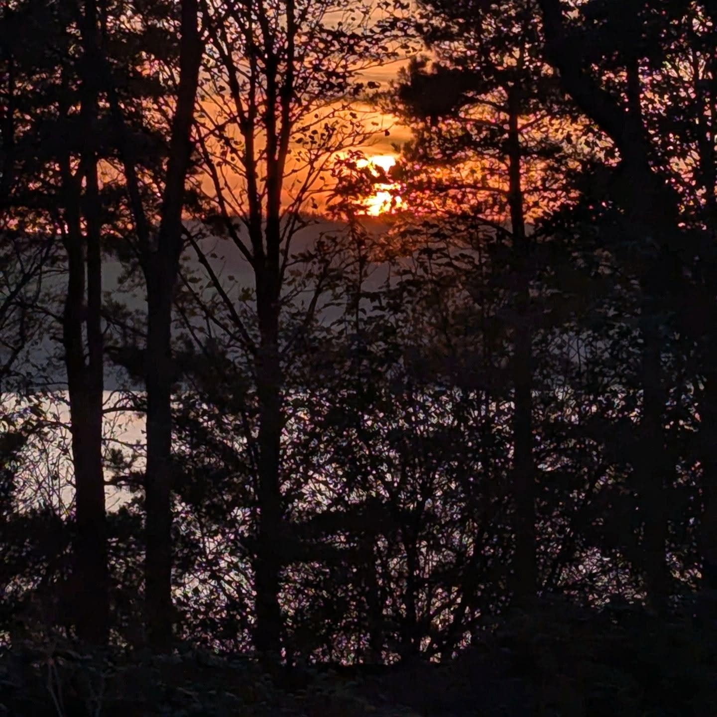 Enjoying watching the sun set and gradient of dusk colours silhouetting trees at Cronkley Cottage
#cronkley #derwentreservoir #holidaylet #northumberland #countydurham