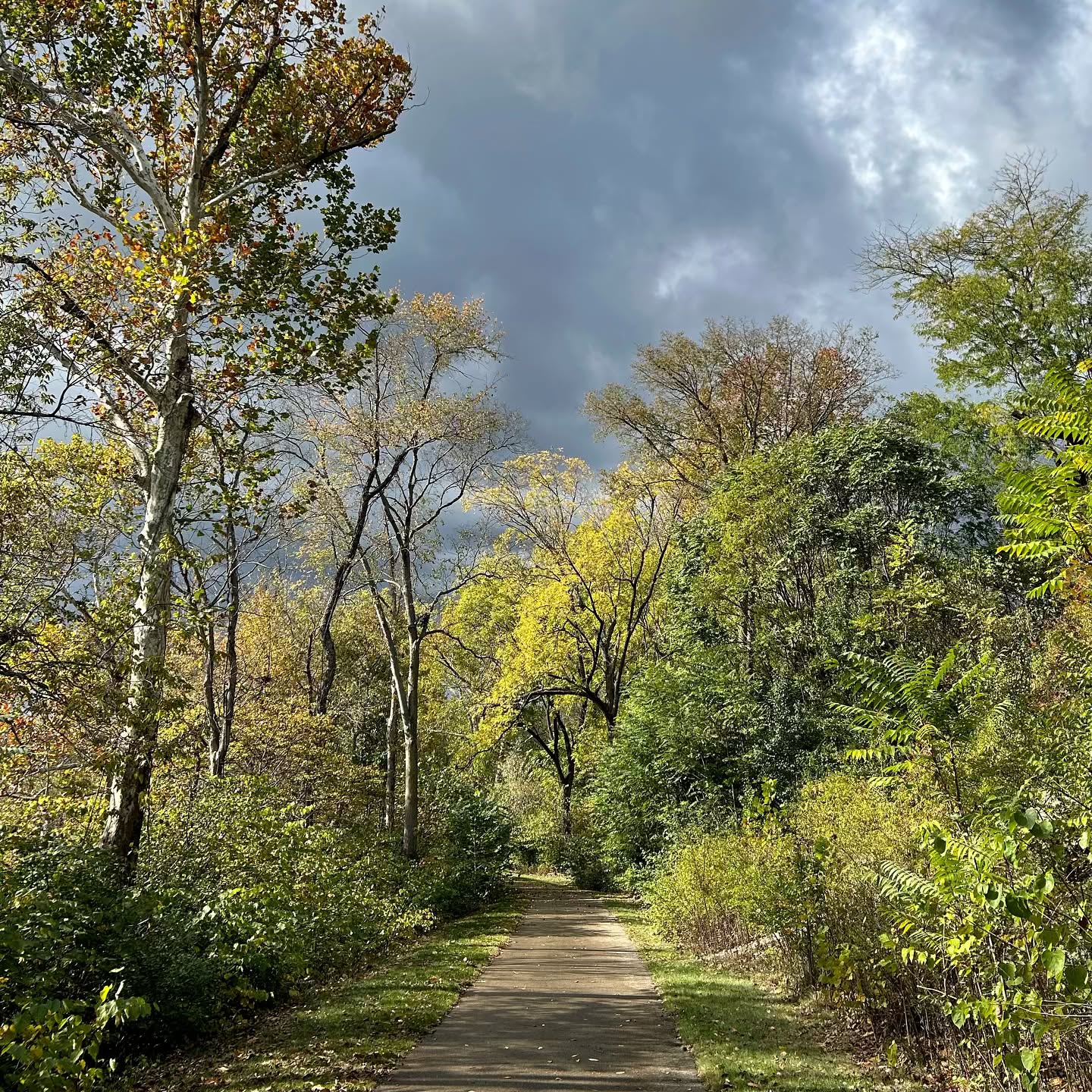 “Listen to your life. See it for the fathomless mystery that it is. In the boredom and pain of it no less than in the excitement and gladness: touch, taste, smell your way to the holy and hidden heart of it because in the last analysis all moments are key moments, and life itself is grace.”
- Frederick Buechner
I was never really taught to listen to my regular, everyday life, but it is a practice I am intentionally teaching my children. As Teresa of Avila (and John Calvin and many other theologians and mystics throughout history) teach us, the path to knowing God does not always lie up and beyond us, but rather sometimes in the deep and dark parts of our soul.
Life itself is grace.
Listen.