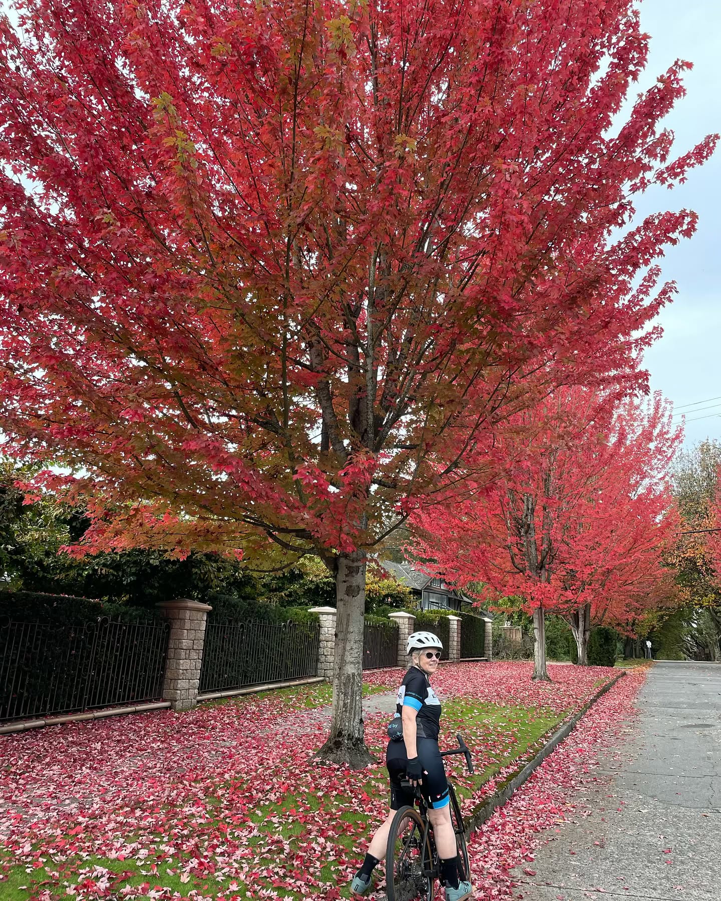 Fall is one of the most beautiful times to ride, however it can also be the most dangerous. These gorgeous leaves 🍁 look stunning on the trees but once they fall, they turn into treacherously slippery surfaces that can quickly surprise and take out even the most experienced rider. Remember not to brake or do any fast cornering on leaves - wet or dry - and watch your speed when you can't avoid them. #fallrides #staysafe #ridesmart #beawareofyoursurroundings #fallleaves #cycling #rideyearround #ridefortheconditions