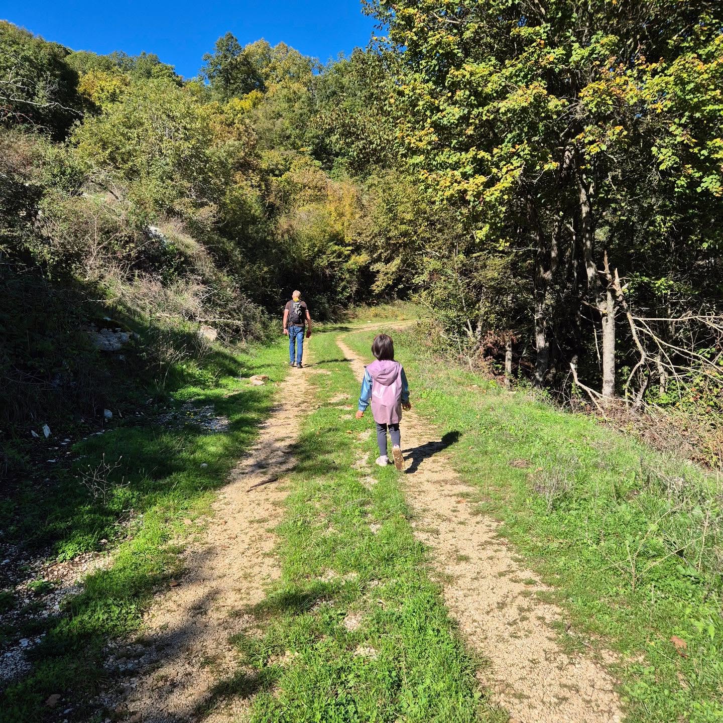A morning stroll - we picked up chestnuts and some sour wild apples along the way. #countrysidelife #italycountryside