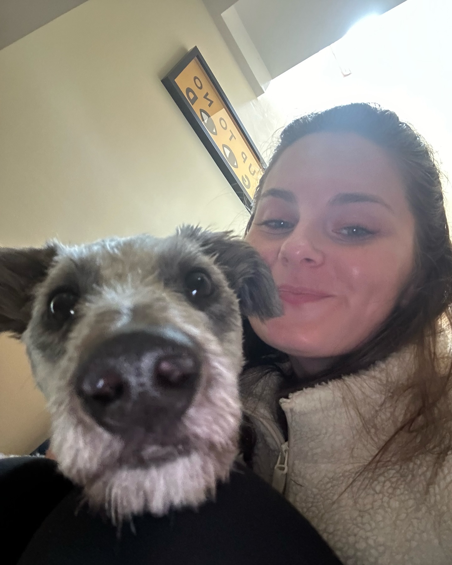 IG meet Blue, our sweet new boy who came into our life last month very unexpectedly and serendipitously 💙