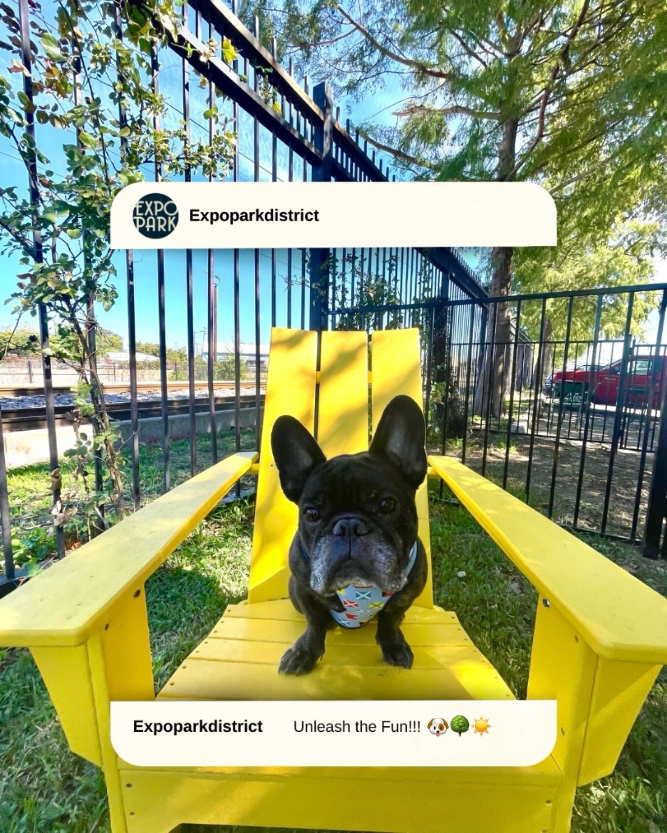 Paws up for playtime at Expo Park’s Dog Run!🐾 Let your furry friend run wild and make new friends right here in the heart of Dallas! 🐶🌳
#expopark #expoparkdallas #expoparkdogpark #dogdayfun #tailswagging #dogdaysinthepark #barkinthecity #pawsomeday #puppyplayground #dogsofdallas #furryfriends #dogsofinstagram #puppyjoy