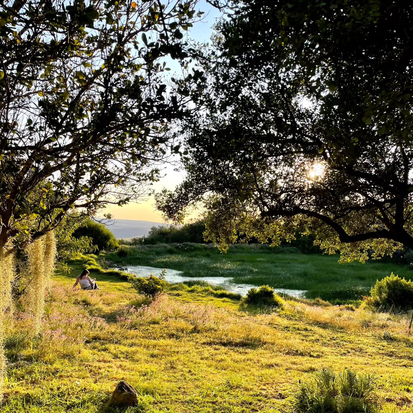 Memories pt2 from our final weekend in Rocklands for 2024 🪷
Already planning dates for next year!
Check out our website :)