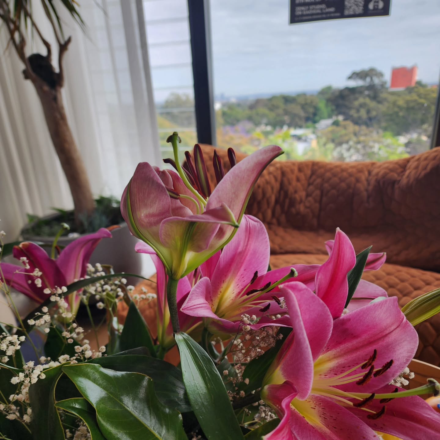 I've been watching this flower taking it's time to bloom over the past week. After all the other ones had popped and were looking so vibrant (and dare I say, perfect) this one opened slowly, quietly and in an unusual direction.
The other flowers were so impressive, and did exactly what they were "supposed" to do, but my eye kept being drawn back to the wonky and interesting unfolding of this one.
I had the seedling for my own business back in 2019, and after observing, learning, trying, "failing", persevering, despairing, grinding, allowing, embracing and enjoying myself during those 5 years - being inspired by so many women who have laid down their own path before me (in particular @thedailyrest and @sacred.weaver ) who encouraged me to keep finding my OWN way, at my OWN pace - I'm finding a true sense of arrival in what I have to offer now. And it feels: AMAZING yet peaceful 🌄
My updated website is now live (!!!) and while that milestone could be a big moment of celebration, if I peel back the curtain what I'm truly commemorating is this:
🌸 it's okay to not be for everyone
🌸 no matter how "embarrassed" you may feel about it, things just take the time they take
🌸 true wealth is in the depth and discovery of the relationships nurtured, not the "sales"
🌸 time spent underground is not "nothing", it's how you form your stability
🌸 you can never regret honouring the things you are naturally drawn to, they are all breadcrumbs that (years later) form a whole bakery you didn't even know you were building 😅🥐
You can see everyttthiìinnnnnggg up now in the ~linktree~
(now I really feel like a professional instagram girl!)
I look forward to guiding anyone who feels like they need encouragement on their wonky, unusual, sideways blossoming - whether that be in your personal life, creative life or community ideas 💡 💓 at long last: WE RE-OPENING SIS!