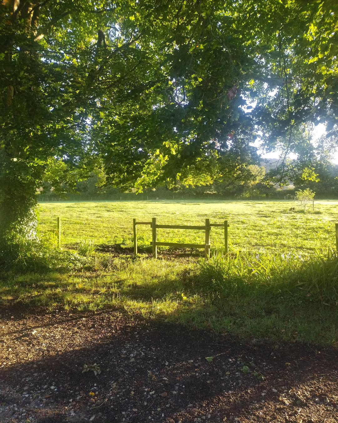 Remember to get yourself out into some sunshine... Double points for hugging a tree ✨✨