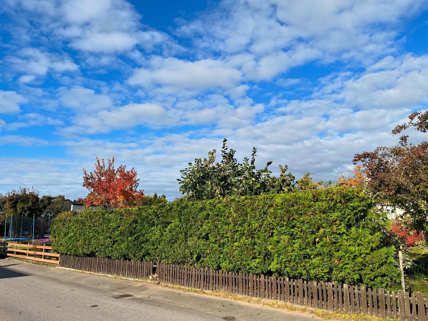 Förbered din trädgård inför vintern 🍁🍂
✅ Använd ditt rutbidrag vid betalaning
🔸Häckklippning
🔸Trädbeskärning
🔸Ogräsrensning
🔸Gräsklippning
🔸Lövrensning