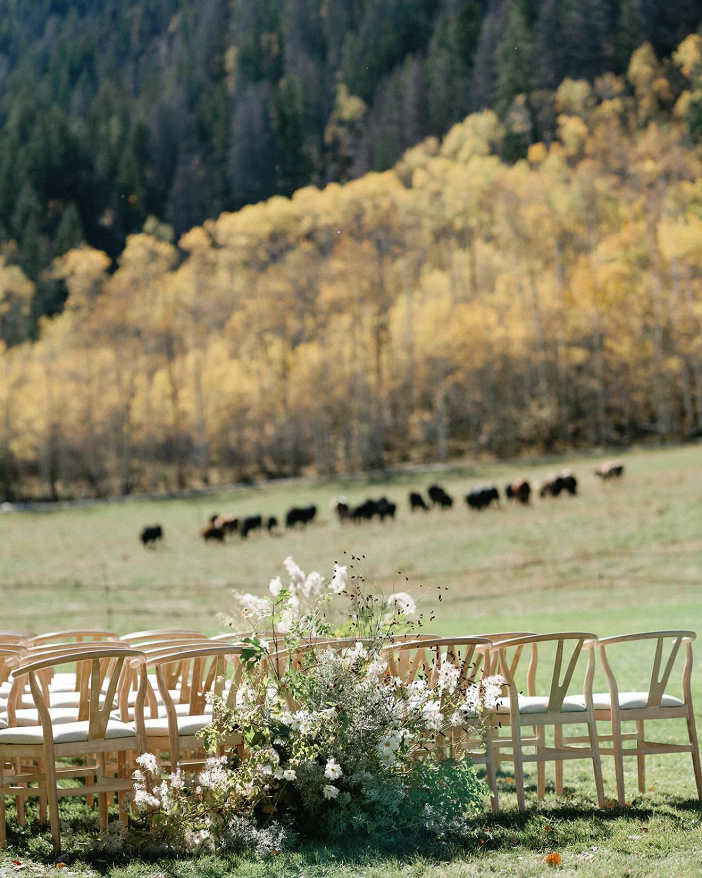 Ceremony for Reilly & Lee. Love working with @alexakayevents on this event, truly incredible. Thank you @__pineappleprincess @flowerandforage @_fleursure_ for all your hard work!