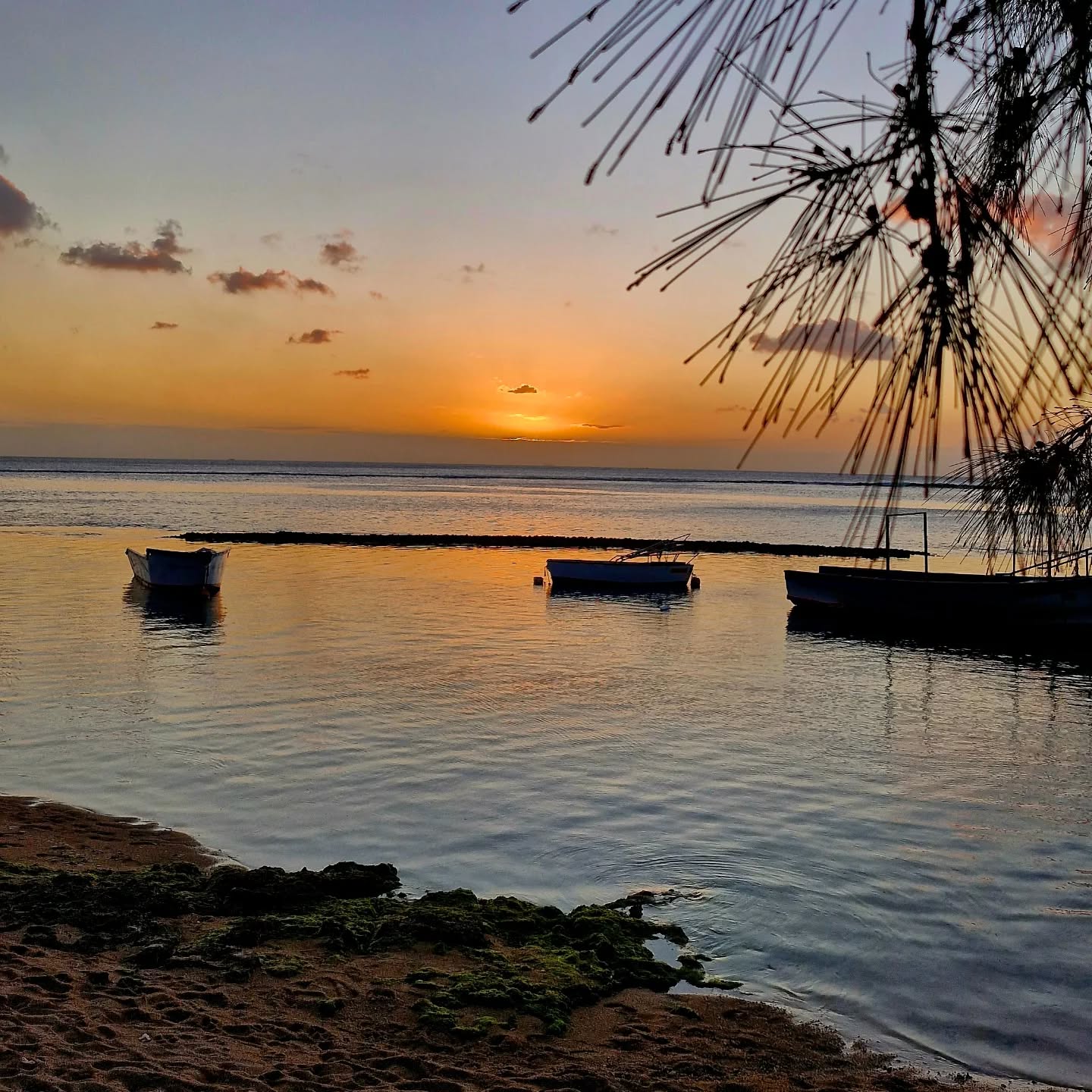Every sunset is a masterpiece painted by nature 🌅
#Mauritius #sunset #admirebeauty #beachlifevibes