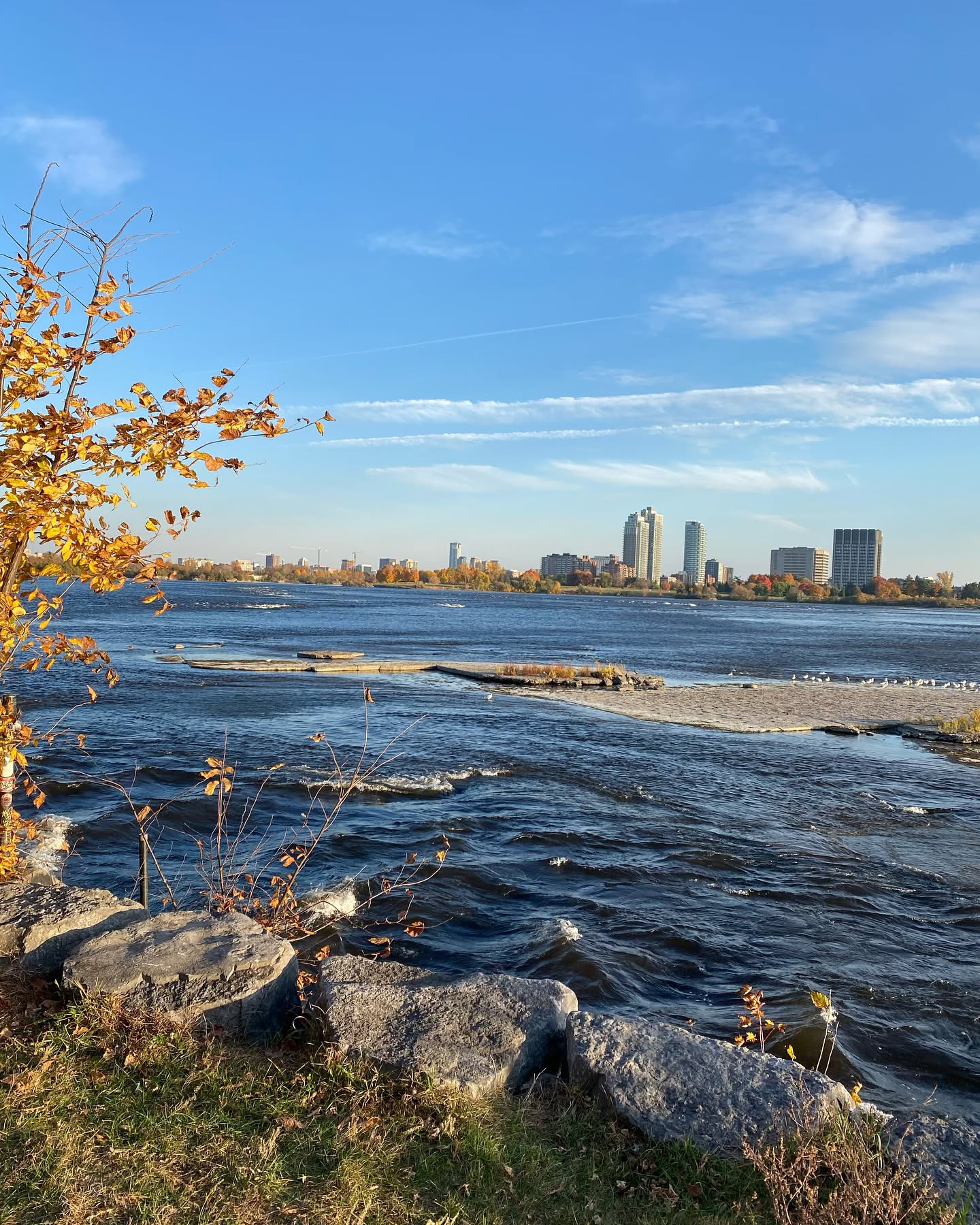Fall in love of this new playground! The spot is wonderful and the community is lovely 🤙🇨🇦 I’m impatient to share some waves 🌊 #rsog #fall2024 #🍁 #surfinglife #surf #ottawa #gatineau #xirimirisurf #canada #riversurfers #ottawariversurfing