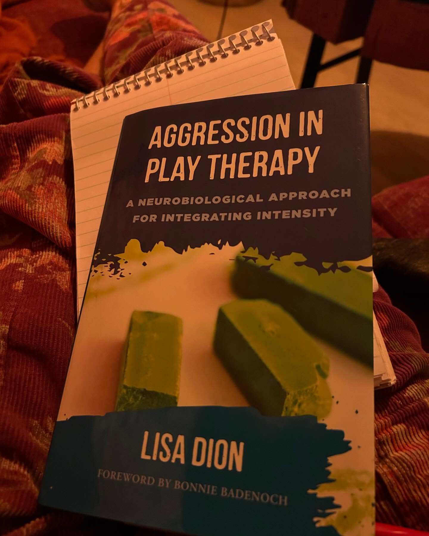 So so inspired! The Synergetic Play Therapy Webinar 🌈 beginning a new program with play therapists all over the world 💫
#synergeticplaytherapy #lisadion #interpersonalneurobiology #playtherapy #handstoheart #systemsintransformation