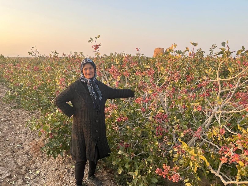 今年のイランピスタチオは豊作です
大きな天災にも遭わず、今年のパリズのピスタチオ農園にはたくさんのピスタチオが実っています。
この後、数回に渡る検査をクリアして日本の私たちの手元に商品が届きます。
新収穫の美味しい商品をみなさまにお届けできるのが今から待ち遠しい限りです^_^