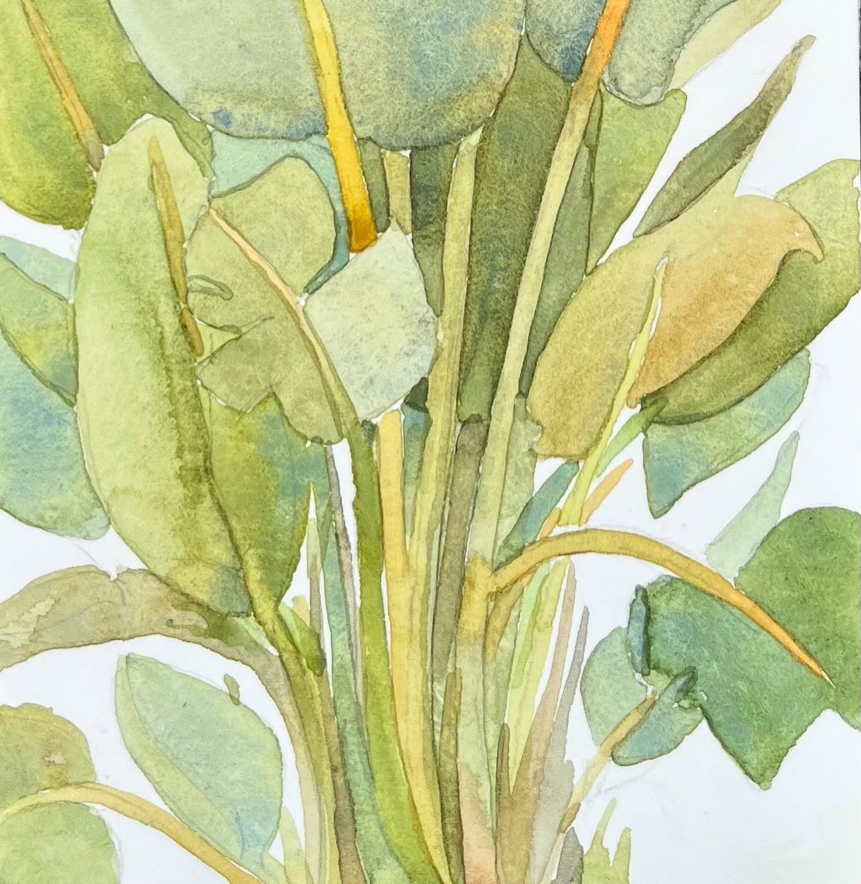 #inktober Day 22 Leaf
Whilst I catch up with some of the various @journalingwithnature prompts for #inktober2024 here are some palm leaves from my recent trip to Marbella. I think it’s a Traveler’s-Palm according to the plant identifying app. I sat painting this in our hotel garden until quite dark as it was our last evening there. I think the other guests must of thought I was a bit odd, as they passed by, but I had seen these splendid plants over several days and just wanted to record one of them. Feels warm and sunny just looking at those luscious leaves!
#lovemarbella #gardenjournal #naturelover #plantpainting #watercolour #watercolourartist #sketchbook #artistonholiday