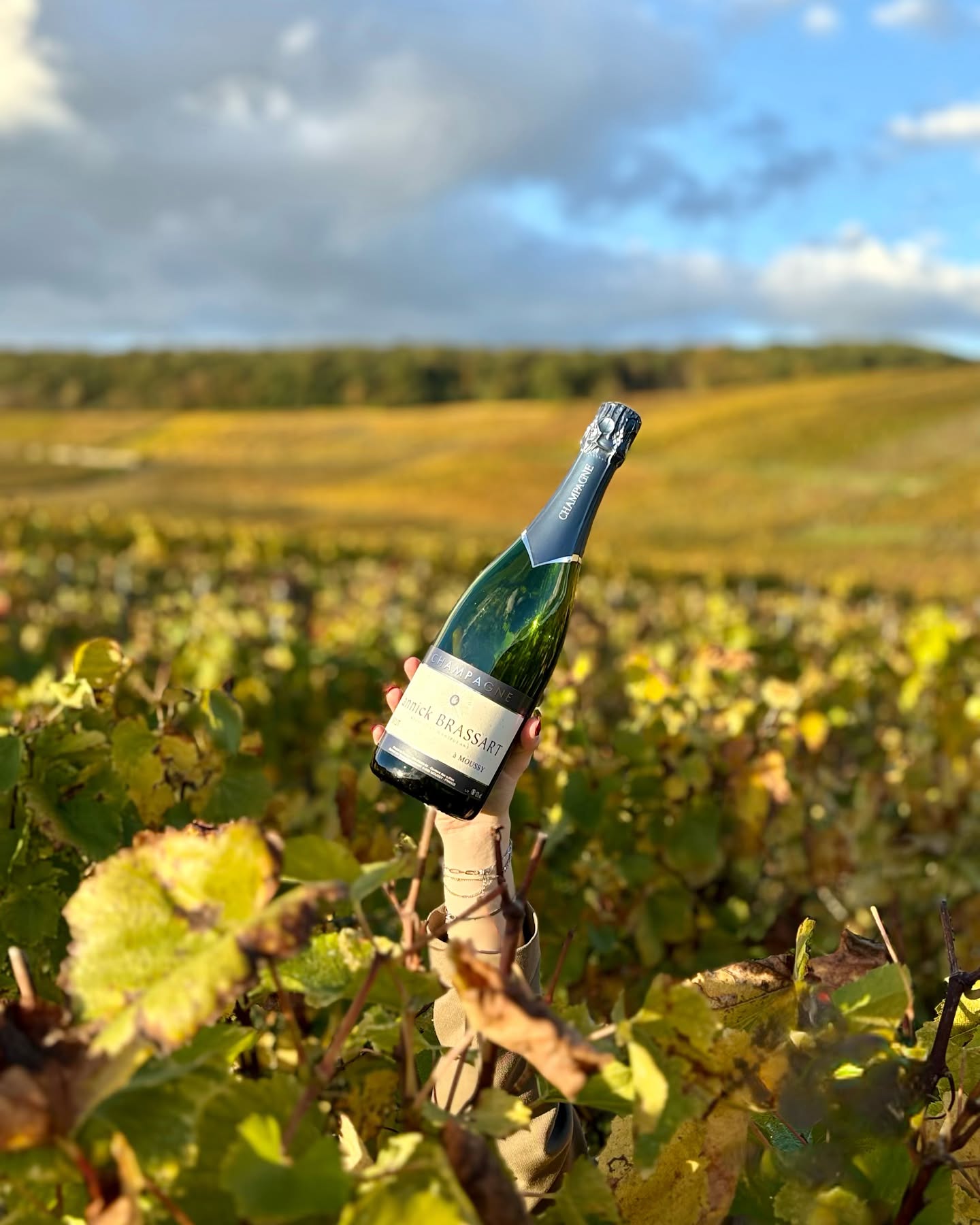 25/10/2024 : Champagne Day 🍾🍇🥳
Le Champagne Brassart vous souhaite une joyeuse fête du Champagne ! En cette journée festive, retrouvez-vous entre amis ou en famille pour déguster une délicieuse bouteille de Champagne, puis postez-là avec le hashtag #champagneday ! Si, en ce jour si spécial, vous choisissez de déguster ue bouteille de Champagne Brassart, identifier nous, et nous vous reposterons en story avec plaisir ! L’abus d’alcool est dangereux pour la santé, à consommer avec modération. #champagne #champagneday #champagnebrassart #celebrations #fêteduchampagne #25octobre2024