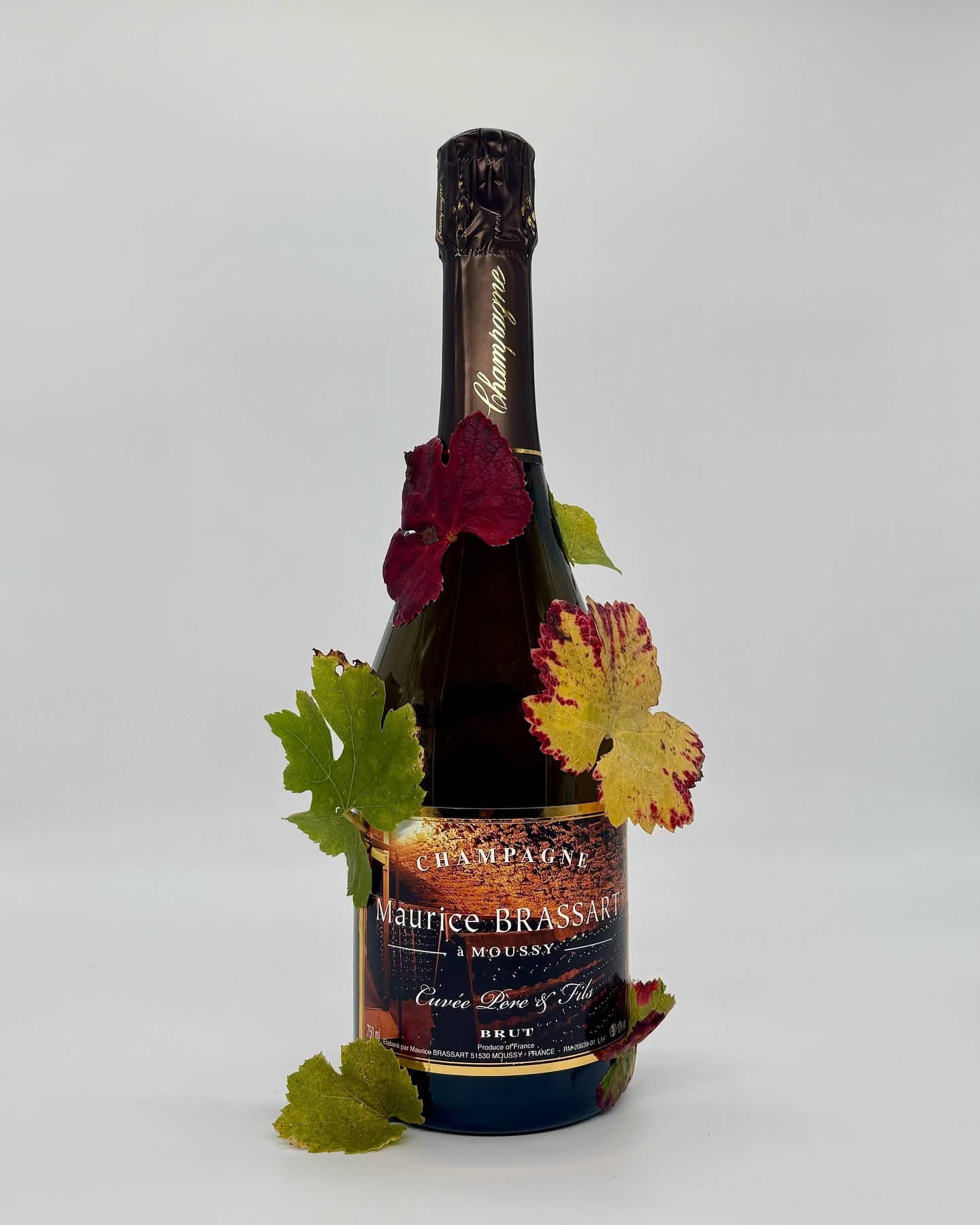 Notre Cuvée Père & Fils se marie si bien avec les magnifiques couleurs d’automne !🍁🍂🍾
Retrouver cette cuvée alliant les 3 cépages de la Champagne (Chardonnay, Pinot Noir et Meunier) à parts égales, en dégustation à la propriété à Moussy ou sur notre site internet : champagnebrassart.com
#automne #feuilles #champagne #champagnebrassart #generations #generationsdevignerons #pereetfils