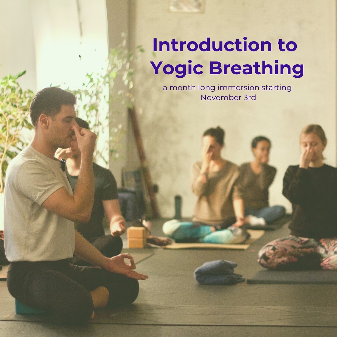 Introduction to Yogic Breathing – a month-long immersion starting November 3rd
Explore the inner workings of your breath, raise your energy, and bring calmness to the mind, preparing it for the practice of meditation.
This month-long immersion program aims to demystify and clarify the basic terms associated with yogic breathing, while also connecting yogic breathing mechanisms with contemporary anatomy and physiology.
The scriptural basis for the course will be Patanjali’s Yoga Sutras connected to pranayama practices (YS II. 49-53), and the immersion aims to link theory with practical experience.
Short overview of the topics:
• What is pranayama in the context of the eight-limb yoga system?
• Connection to contemporary anatomy and physiology
• Detailed physiology of breathing (theory and practice) – what is moving, where, and why?
• Manifestation of neuro-muscular activity as the 5 prana vayus and their implications for yogic practices
• Clear, practical understanding of yogic terms related to pranayama
• Connecting pranayama practice to the higher limbs of yoga – how to transition?
• Study of the Upanishadic 5 kosha system
• How to approach your personal pranayama practice?
This beginner-friendly immersion course aims to provide, through direct experience, a clear understanding of the basic principles of pranayama. These principles can serve as a foundation for building your personal pranayama practice.
Details
When and Where?
4 Sundays in November: 9:30 am – 12 pm, starting November 3rd
Location:
In-person only at Ashtanga Yoga of Melbourne
Level 1, 110-112 Argyle St, Fitzroy VIC 3065
Cost:
280 AUD, 250 AUD for Ashtanga Yoga of Melbourne members (trial option is available)
Sign-up via Momence:
https://momence.com/s/107985757
Beginners are welcome!
Course is led by Miroslav Lesjak ,TT LOAY 1000h+
#pranayama #meditation #yoga #ashtangayogamelbourne #ashtanga #yogaimmersion #dharmayoga #yogamelbourne #yogainmelbourne #dharmayogamelbourne