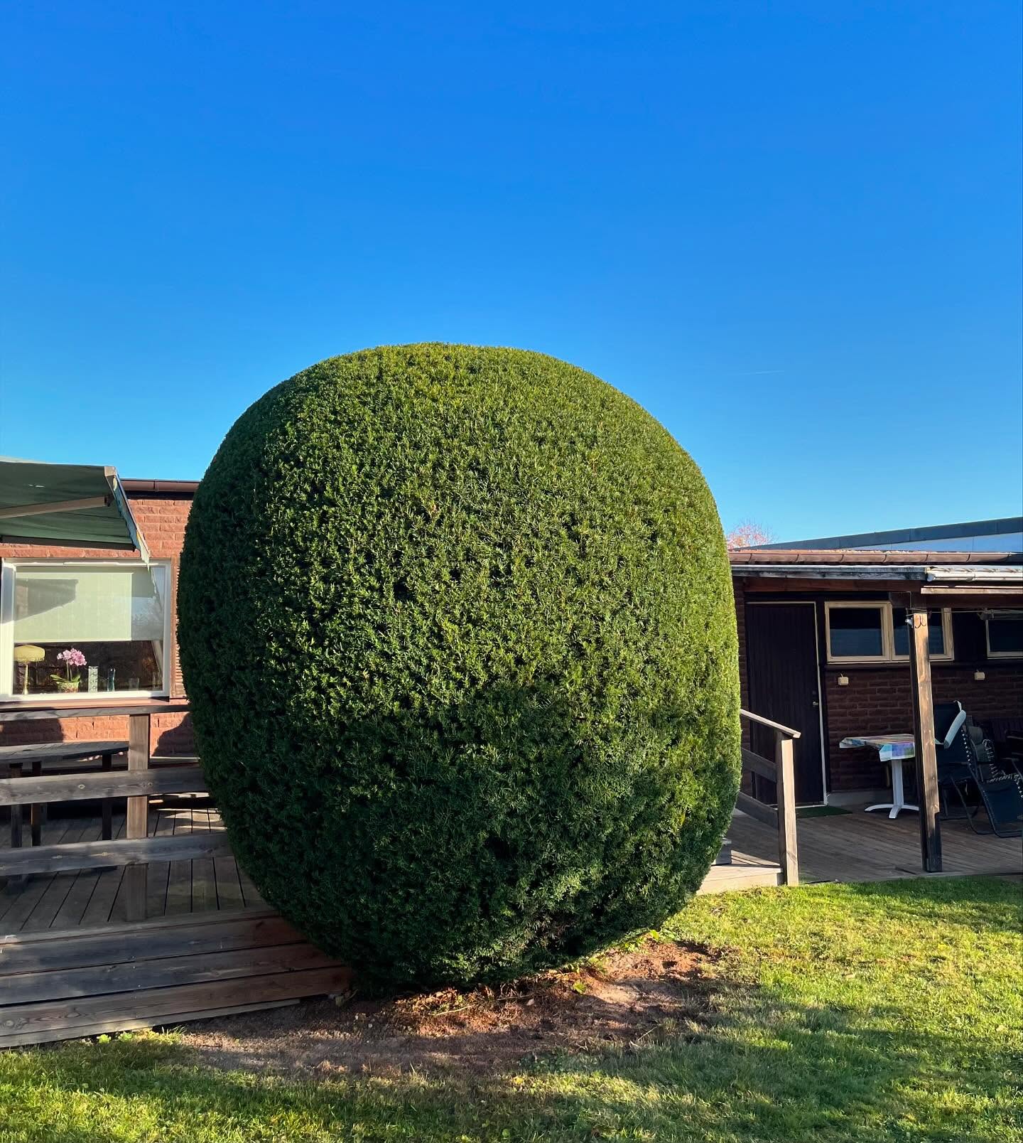 Förbered din trädgård inför vintern 🍁🍂
✅ Använd ditt rutbidrag vid betalaning
🔸Häckklippning
🔸Trädbeskärning
🔸Ogräsrensning
🔸Gräsklippning
🔸Lövrensning