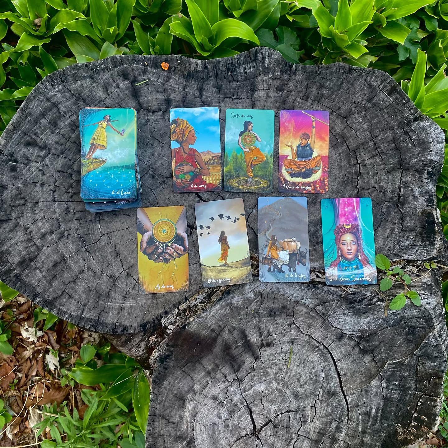 ✨Mensaje de la selva✨: entregarse a lo desconocido es fascinante y vertiginoso. La naturaleza es así, profunda y llena de sorpresas. Gestiona la curiosidad en favor de la sabiduría y no en favor de los intereses egoistas. La magia natural se otorga a quienes respetan el pálpito de su ser.
El mensaje directo es: “No esperes de mí si no esperas de ti”
.
.
.
.
.
#frecuenciamistica #selva #canalizacion #tarot #mensajedeldia #mensajedelaselva #magianatural #naturaleza #ser #equilibrio #espiritualidad #espiritu #santacruzdelasierra