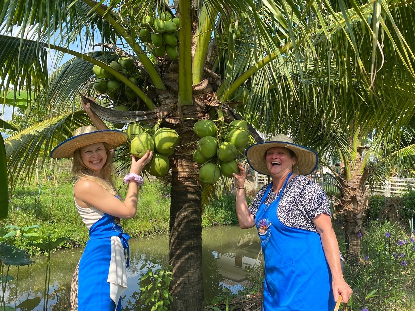 Some coconut? 🌴
Happy garden day at our organic garden
#thai #Chiangmai #lerning #cooking #thaicookingcourse #activities #workshop #thaicusine